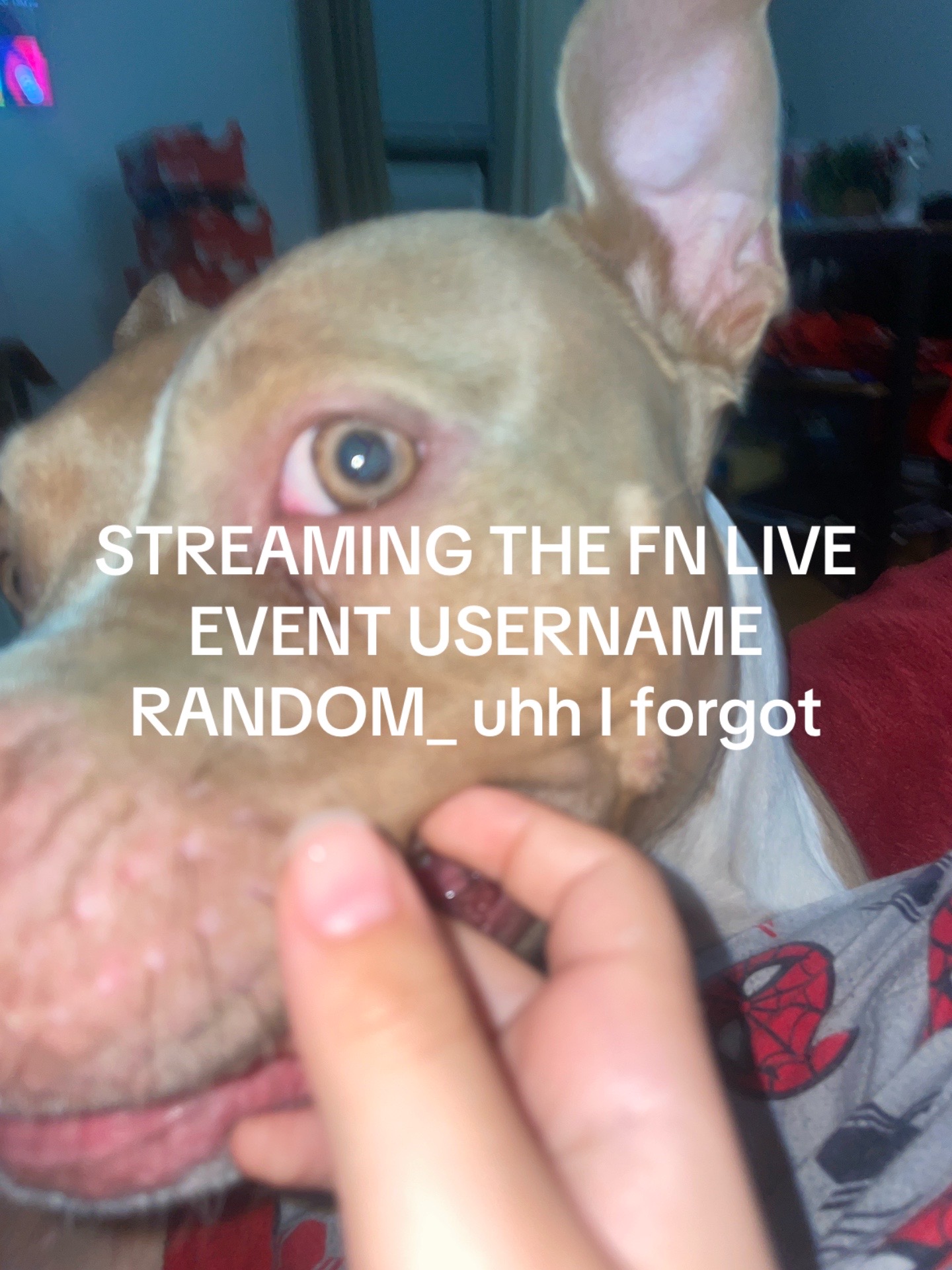 @:/