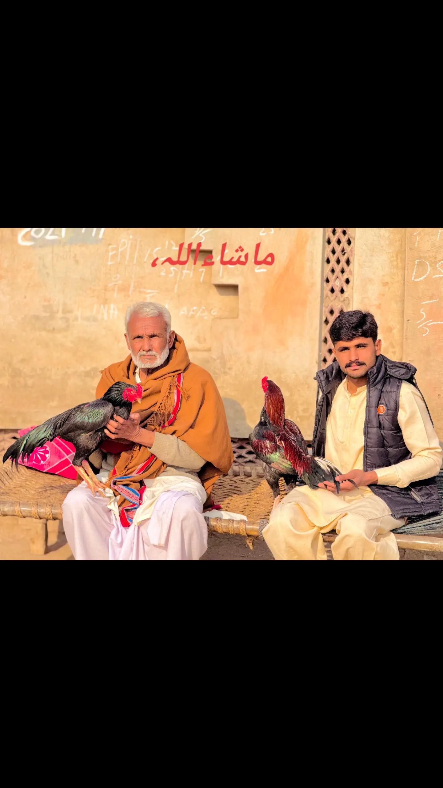 @Ali Nahra