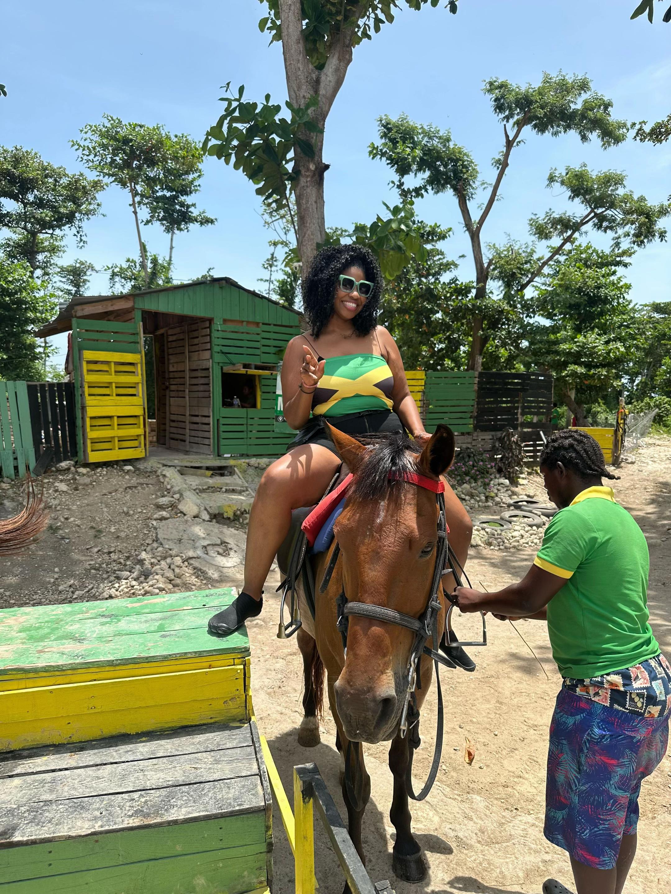 @Jamaicajoytoursandadventures