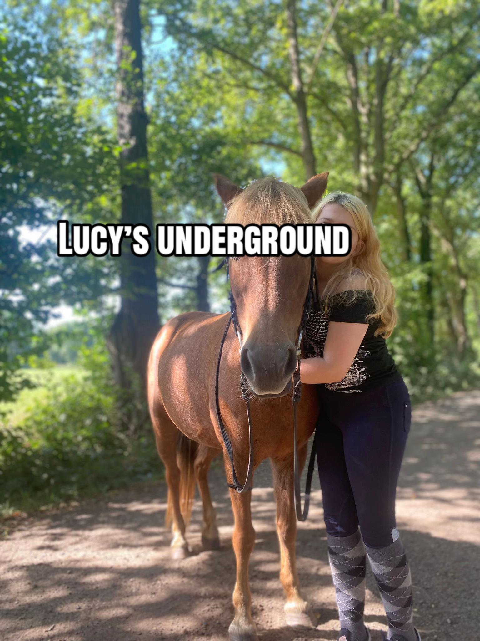 @Amy 🫶🏻🐴