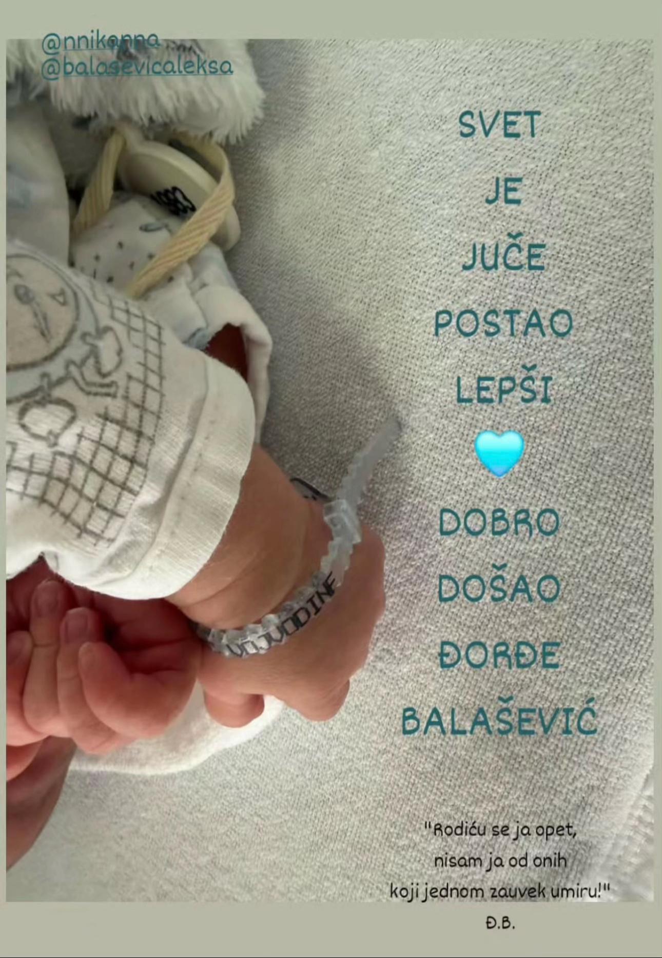 @SREDA🐾