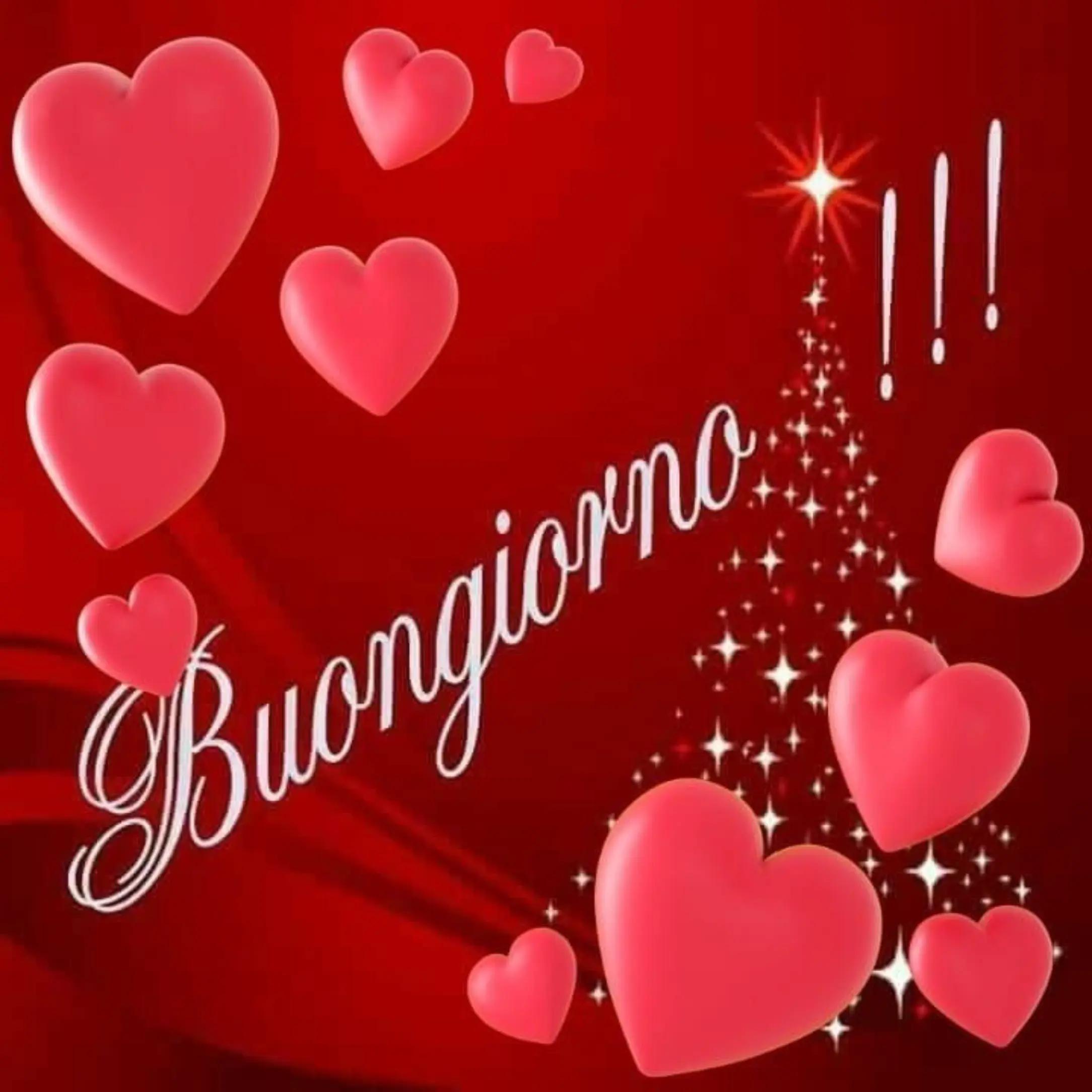 @Luisa severini