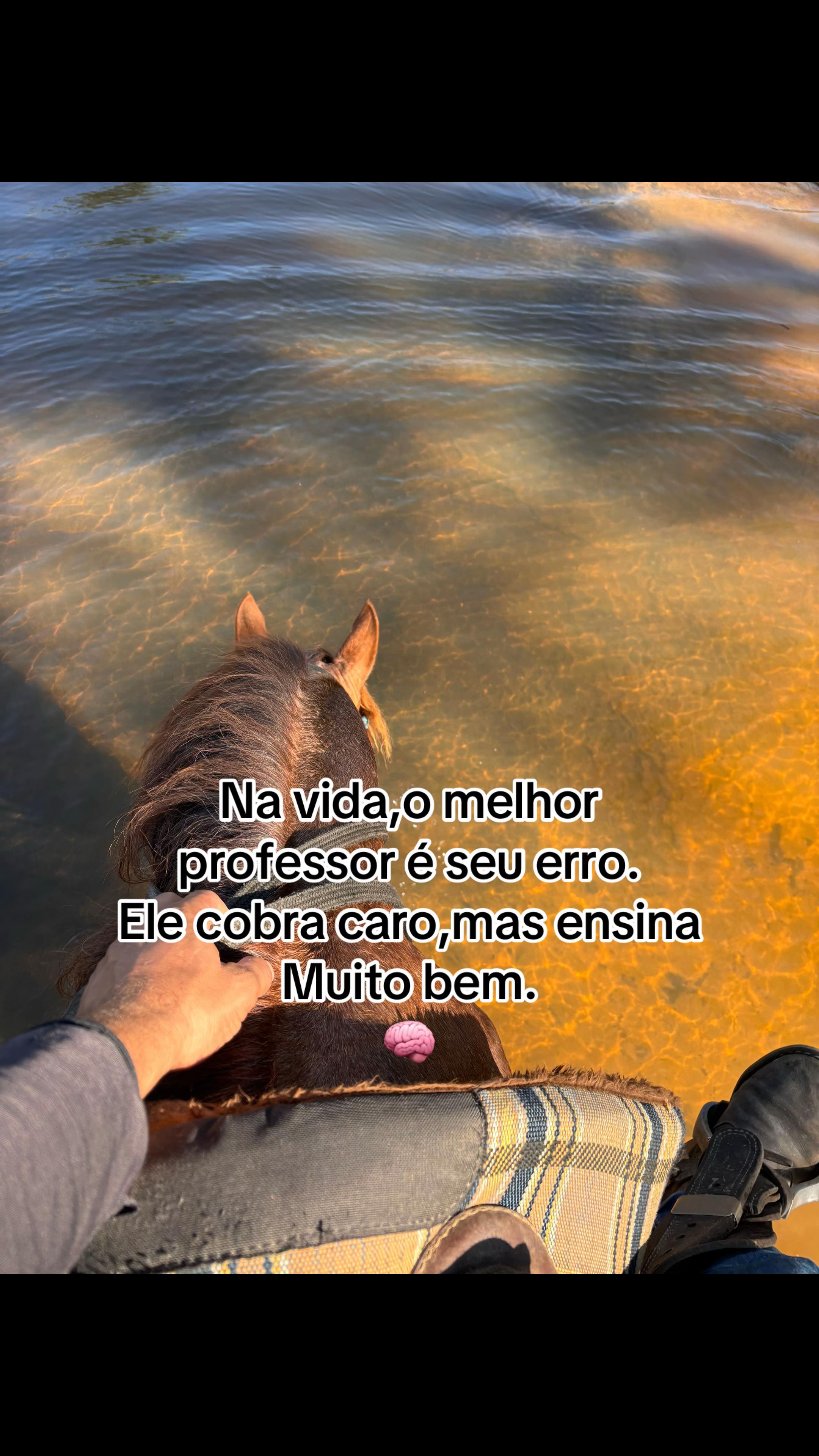 @lukasvieira_🍀