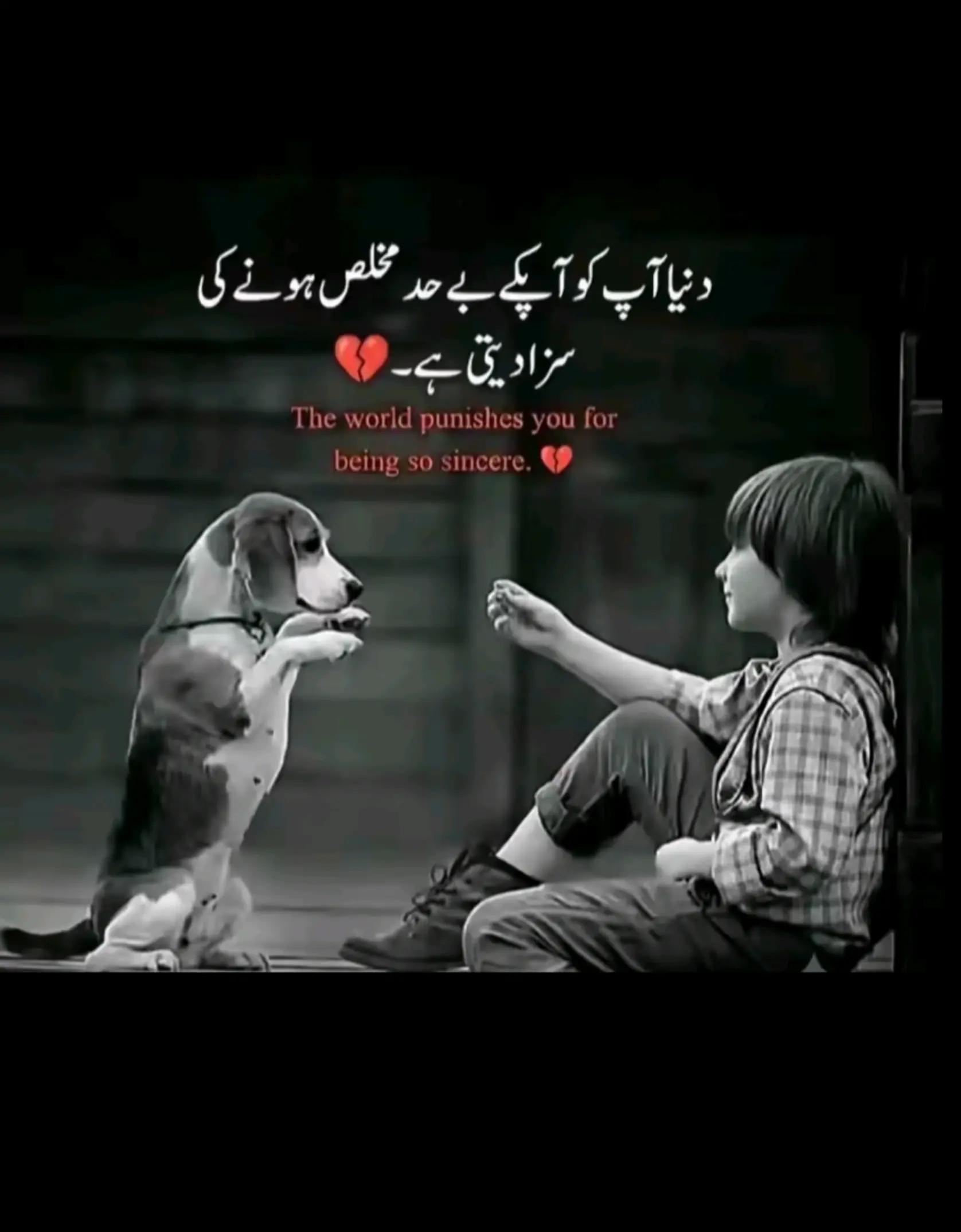 @🫀🕊️AR🕊️🫀