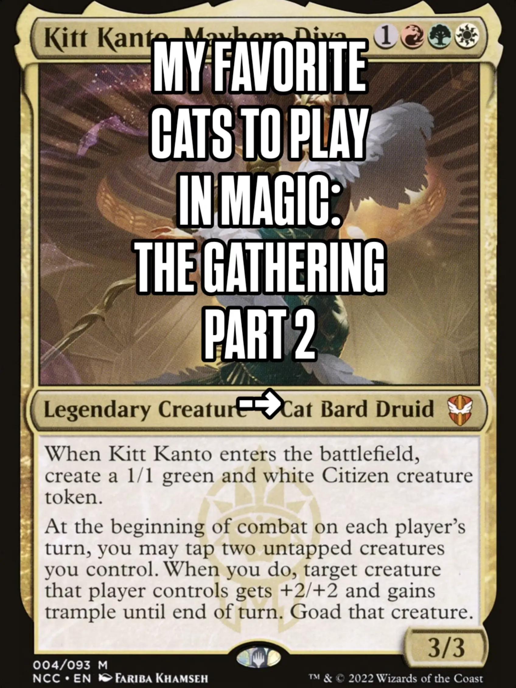 @That TCG Guy