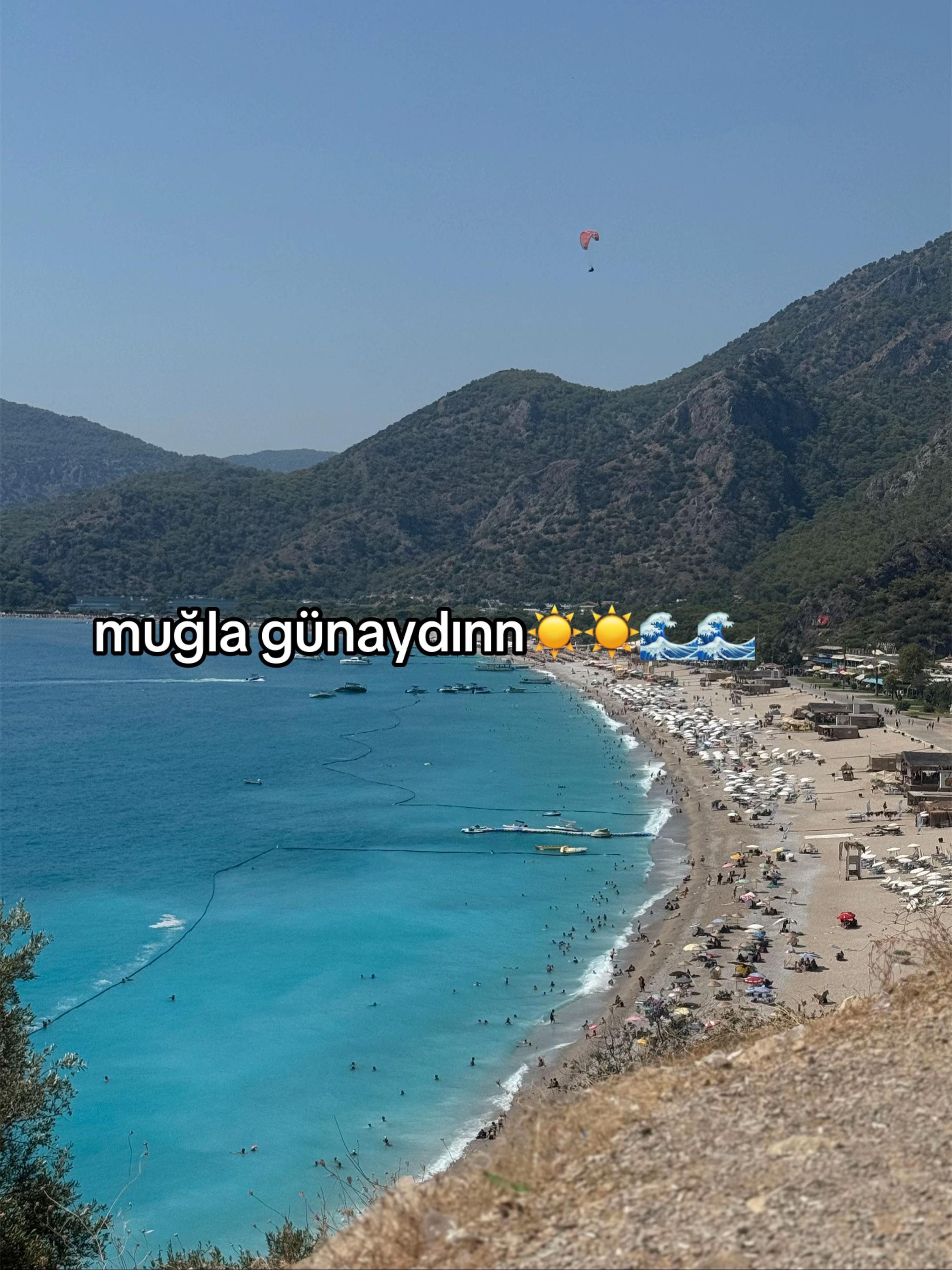@nisacilin
