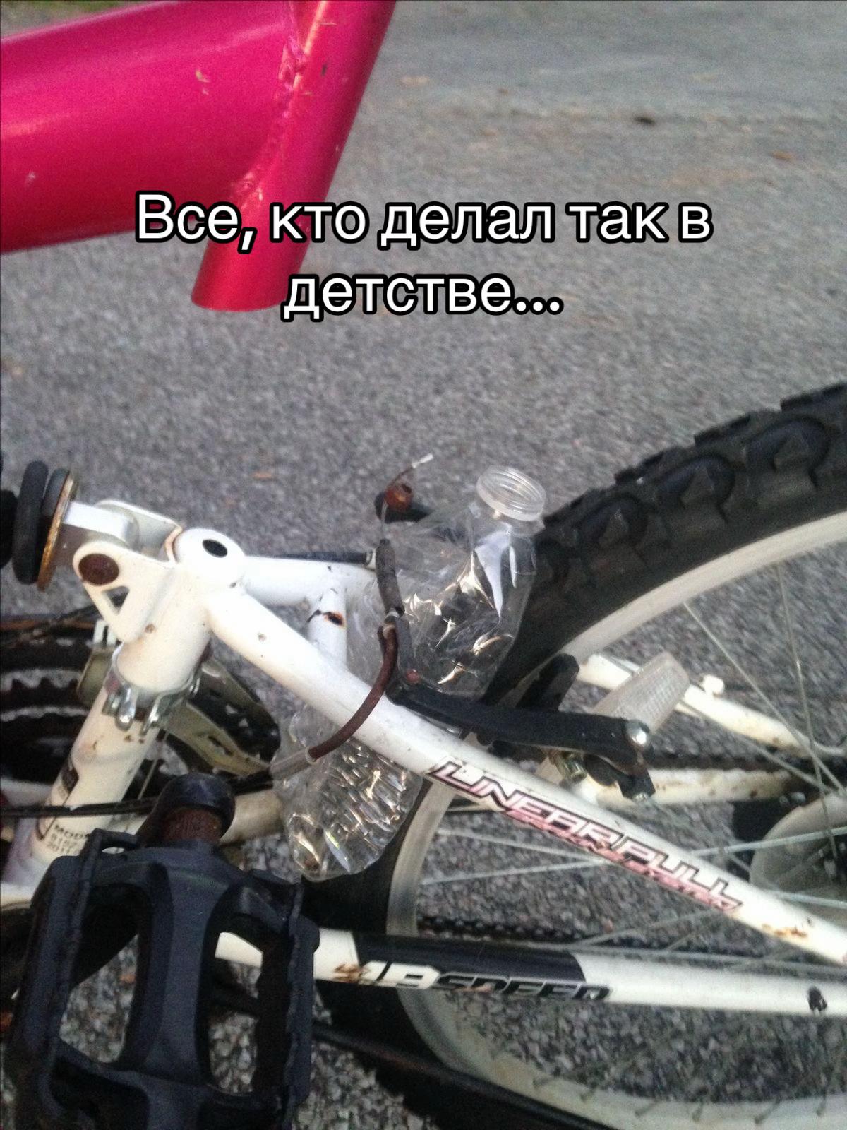 @golova