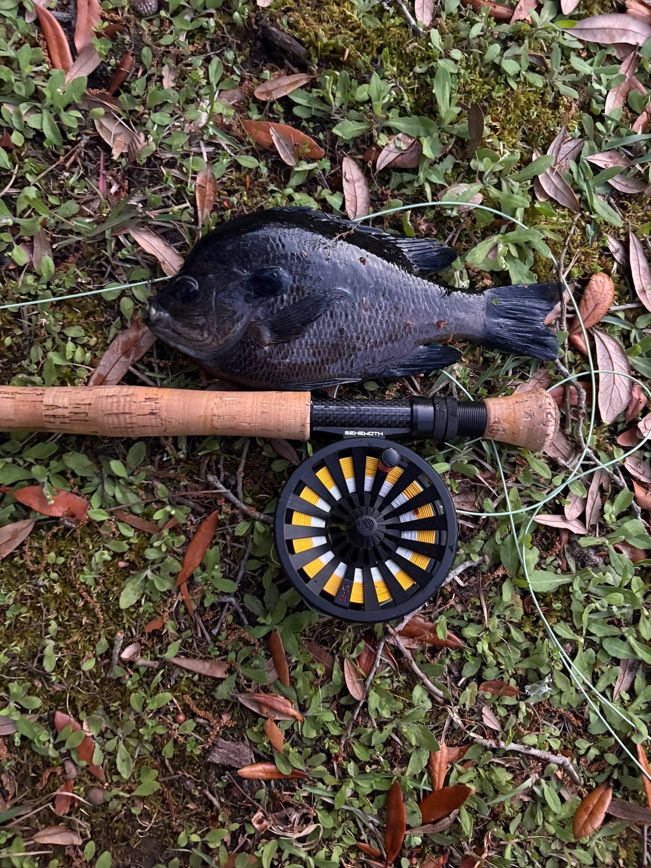 @WHKfishing