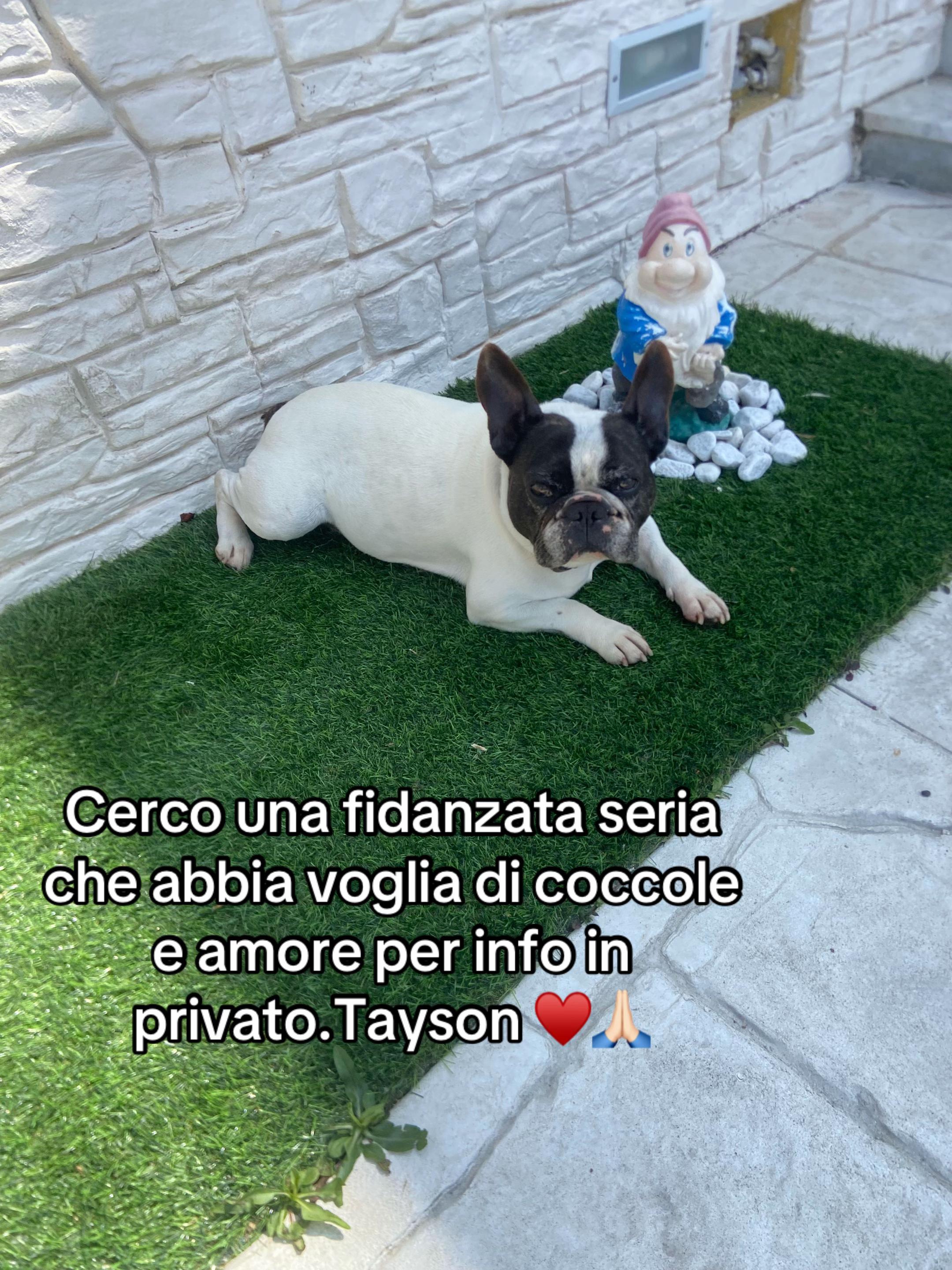 @Mamma di un principe 👑