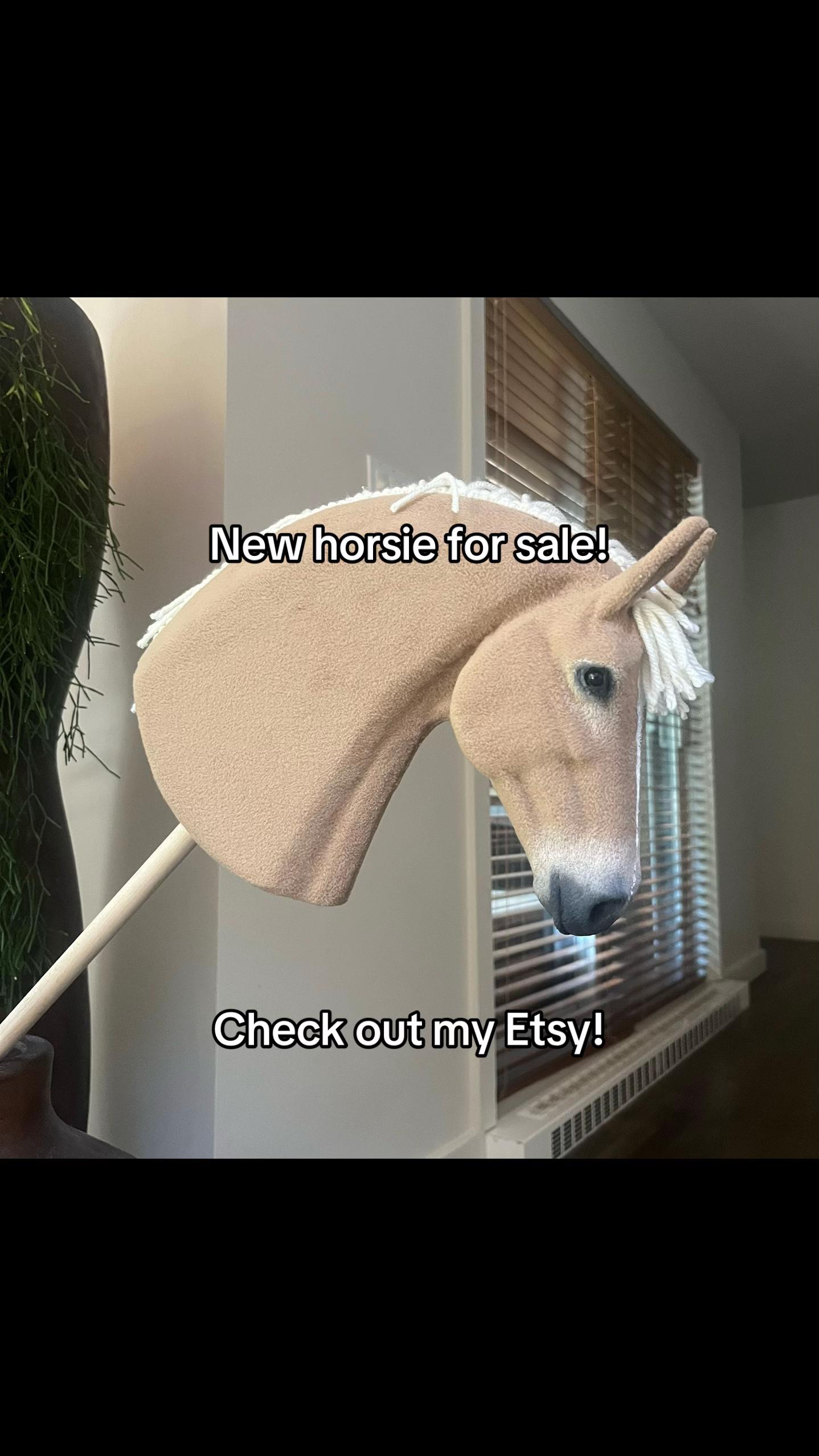 @zhobbyhorse