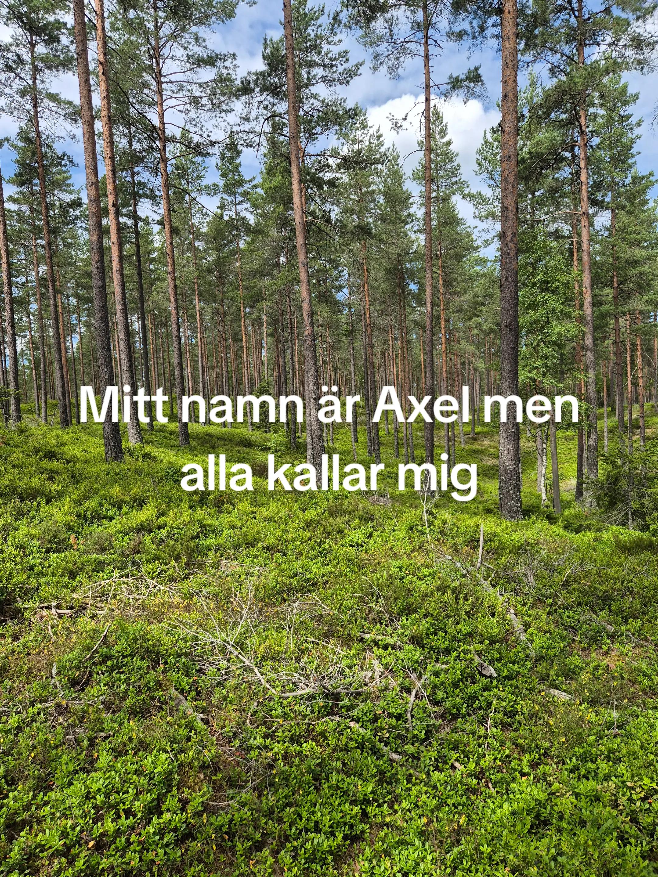 @✝️Axel✝️