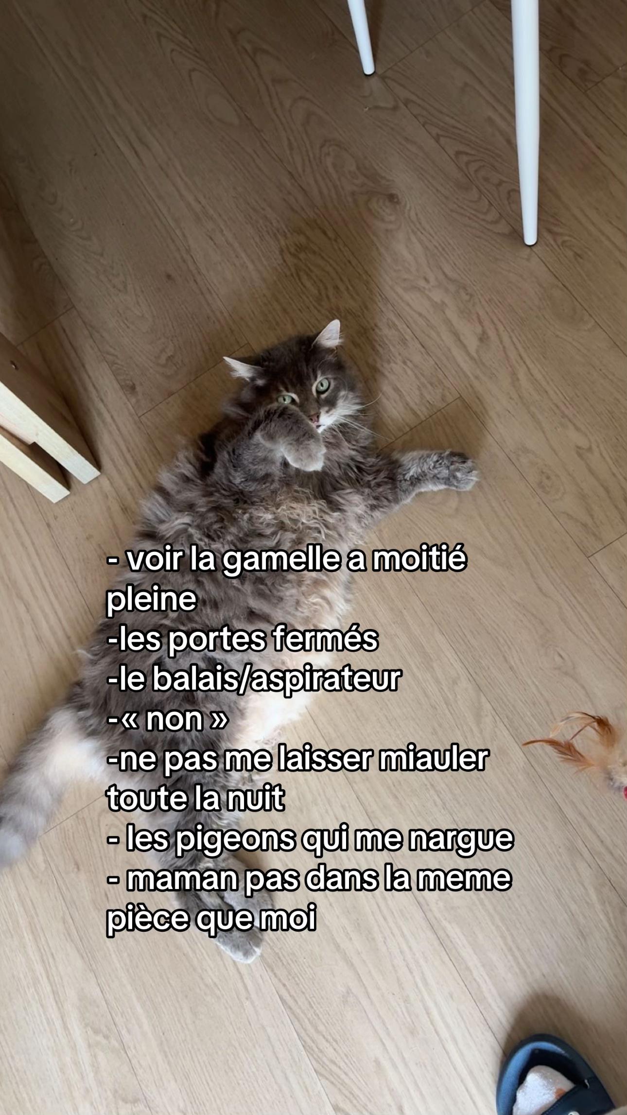 @Wendy_hpe