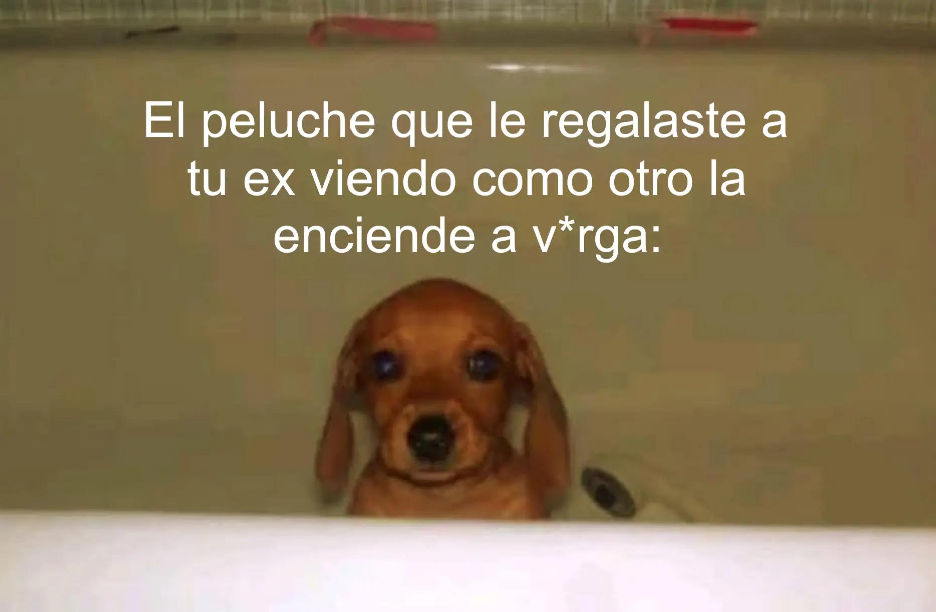 @Anderson't