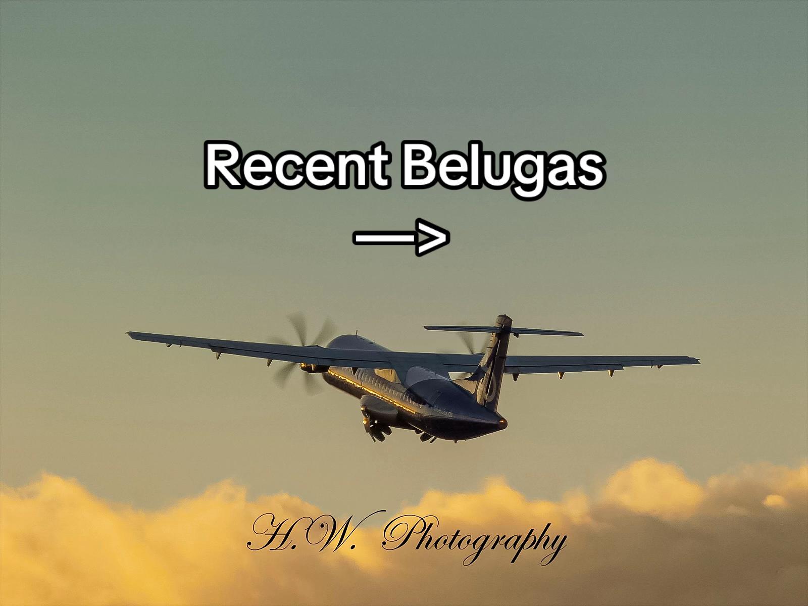 @EXT spotter