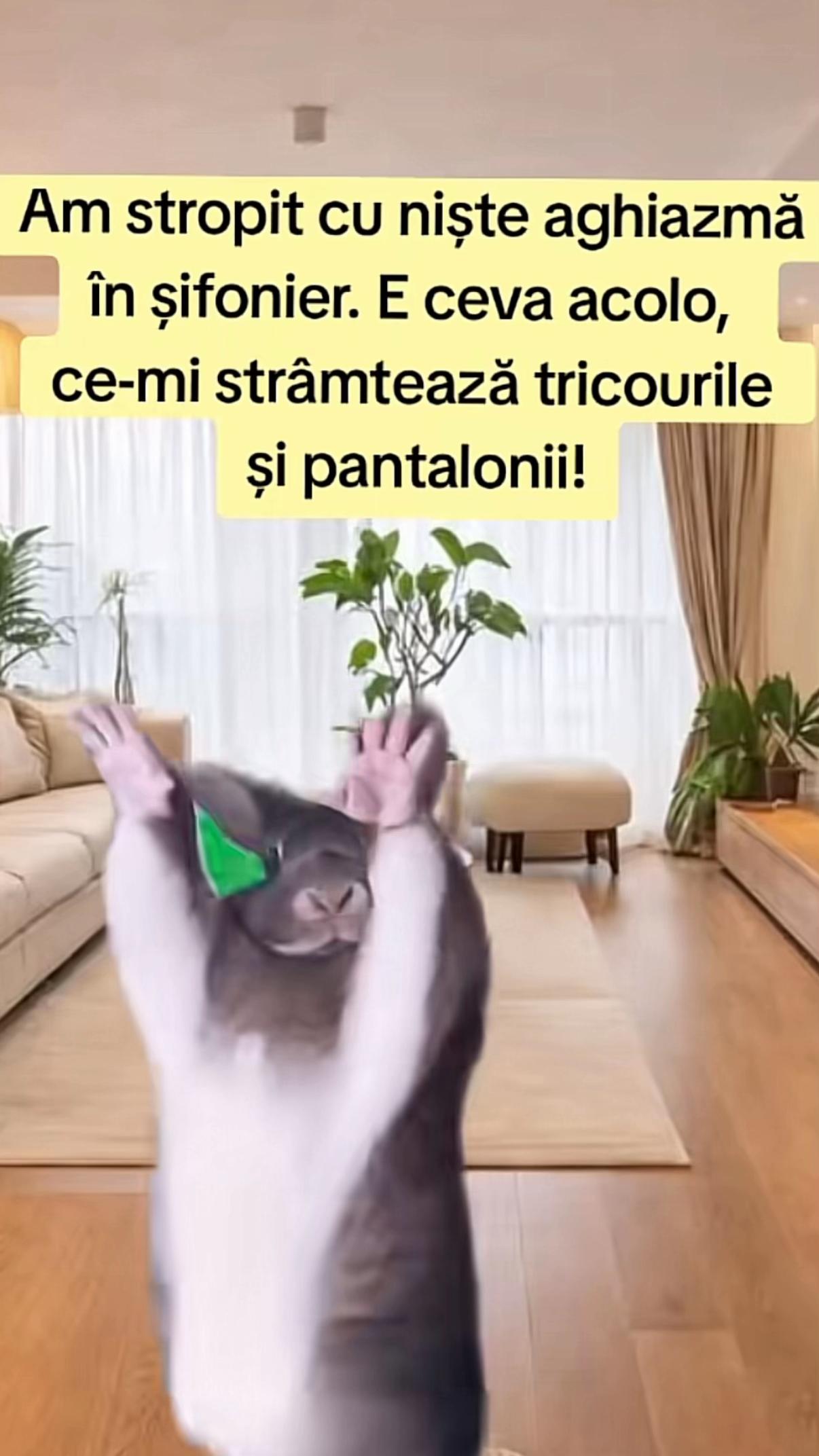 @sempre