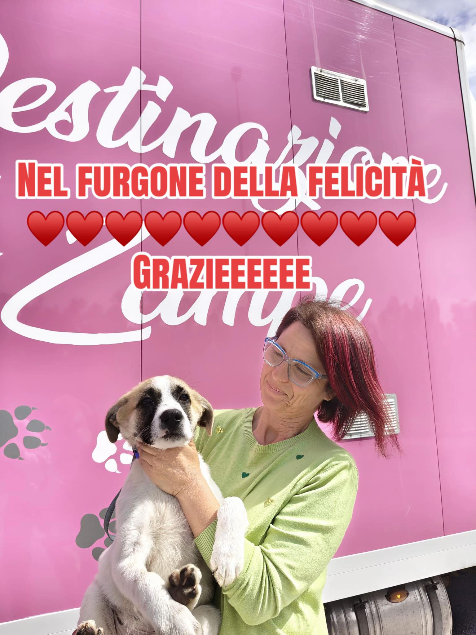 @I randagi di nessuno