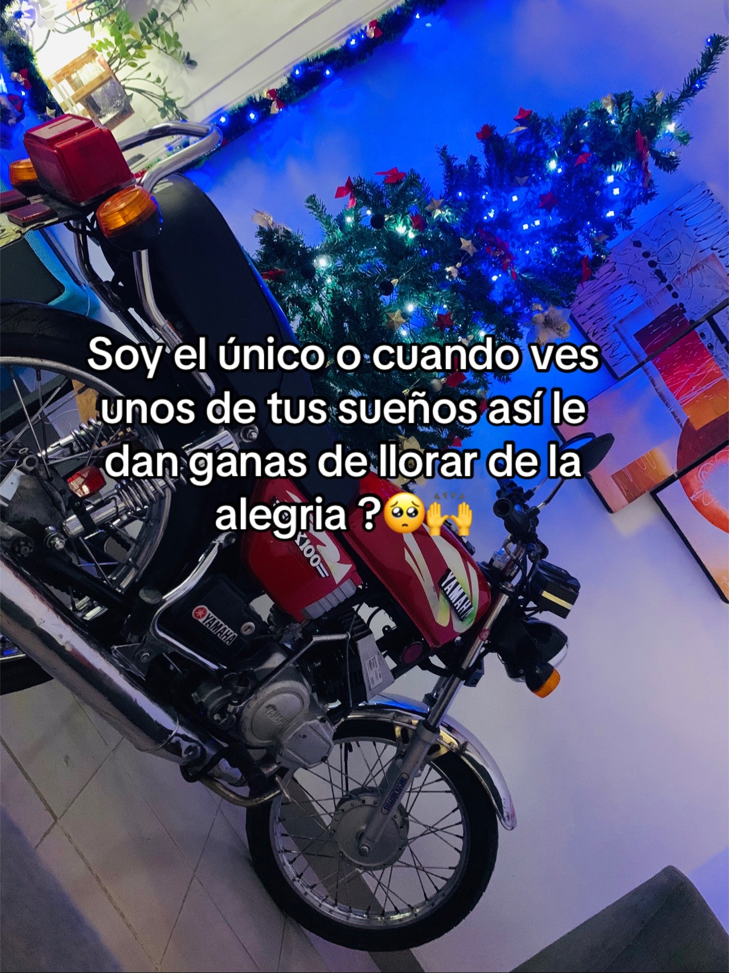 @Ali S&aacute;nchez (2)