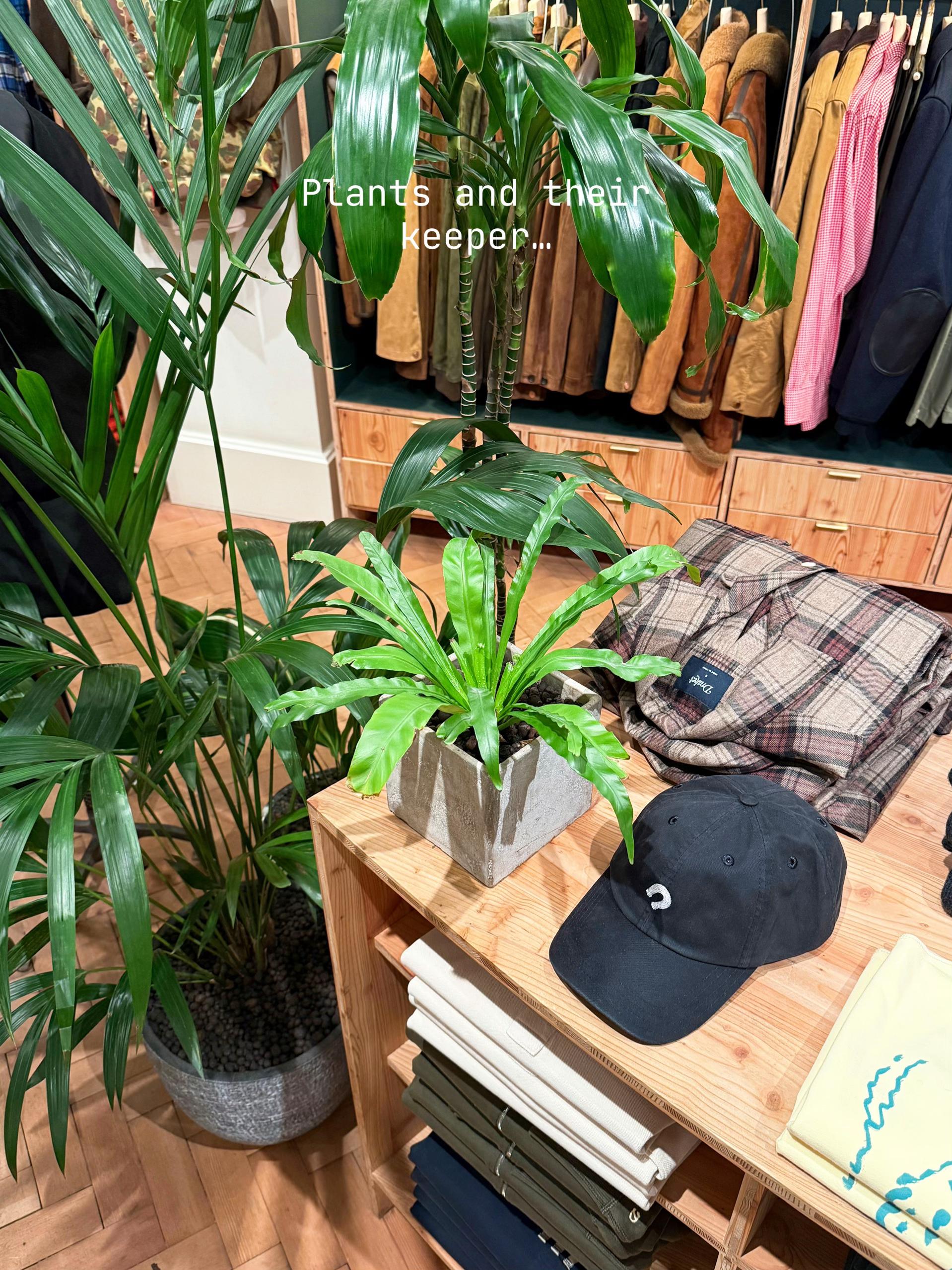 @plantsbythere