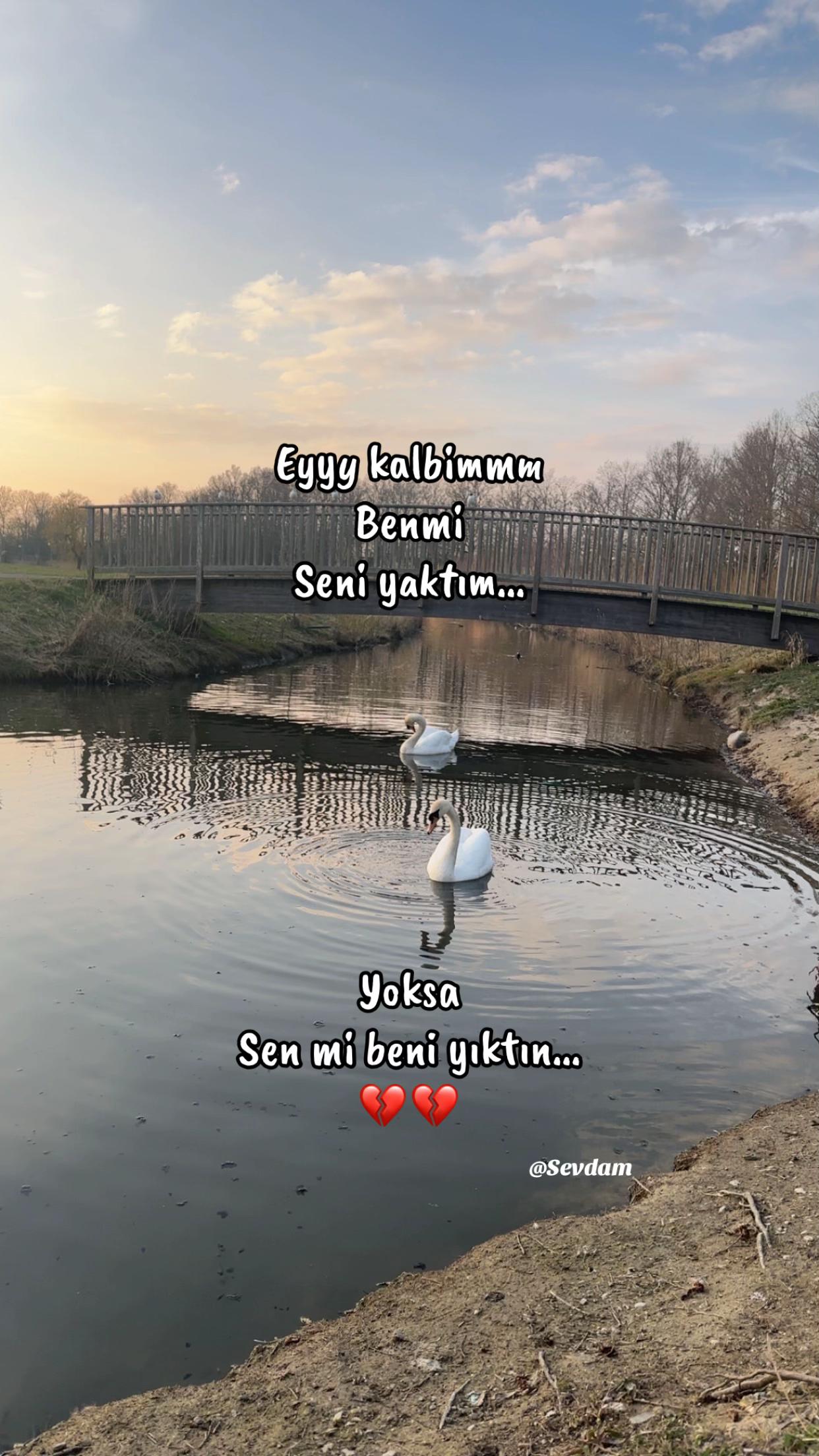 @Sevdam