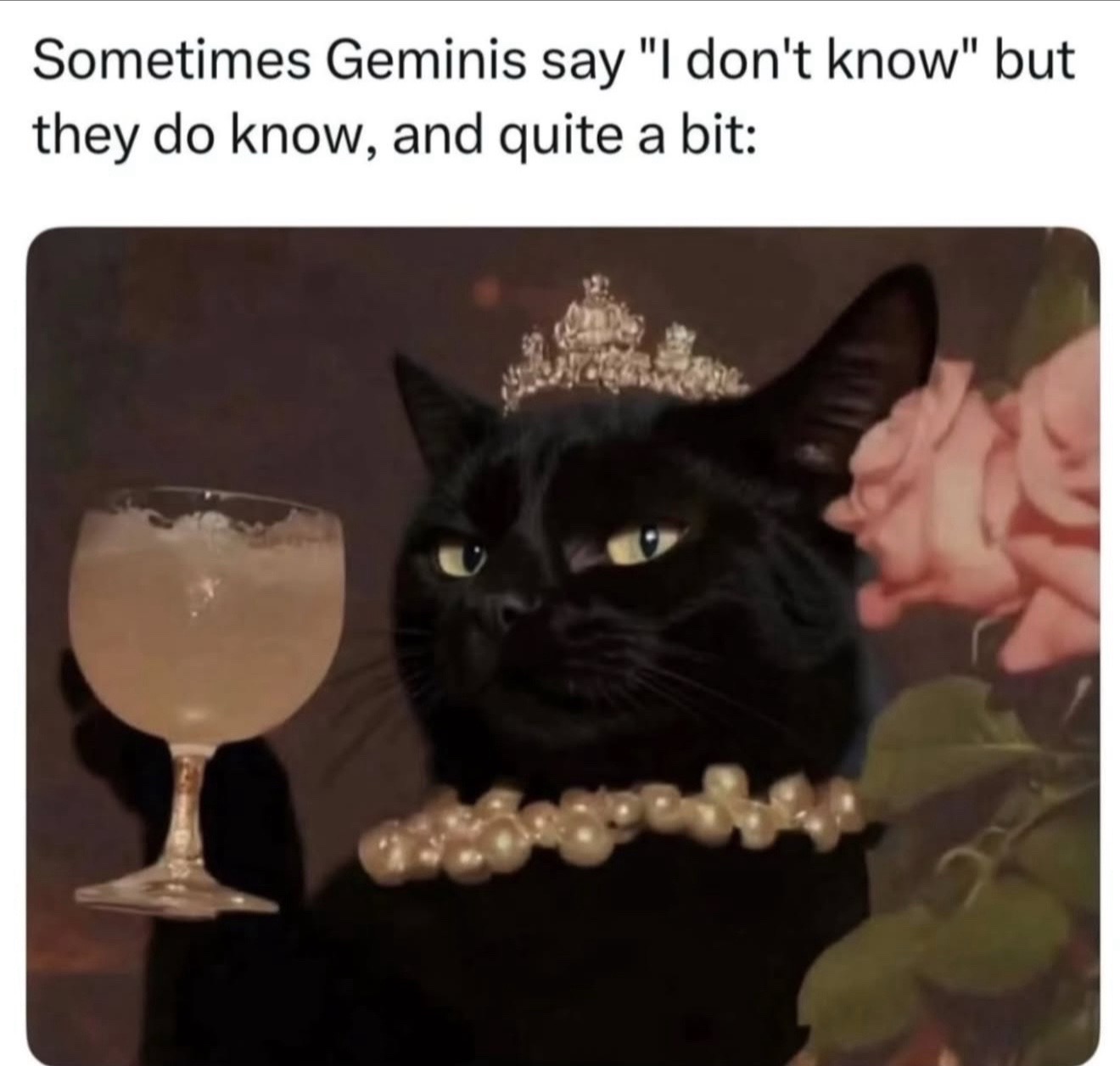 @Mind of a Gemini