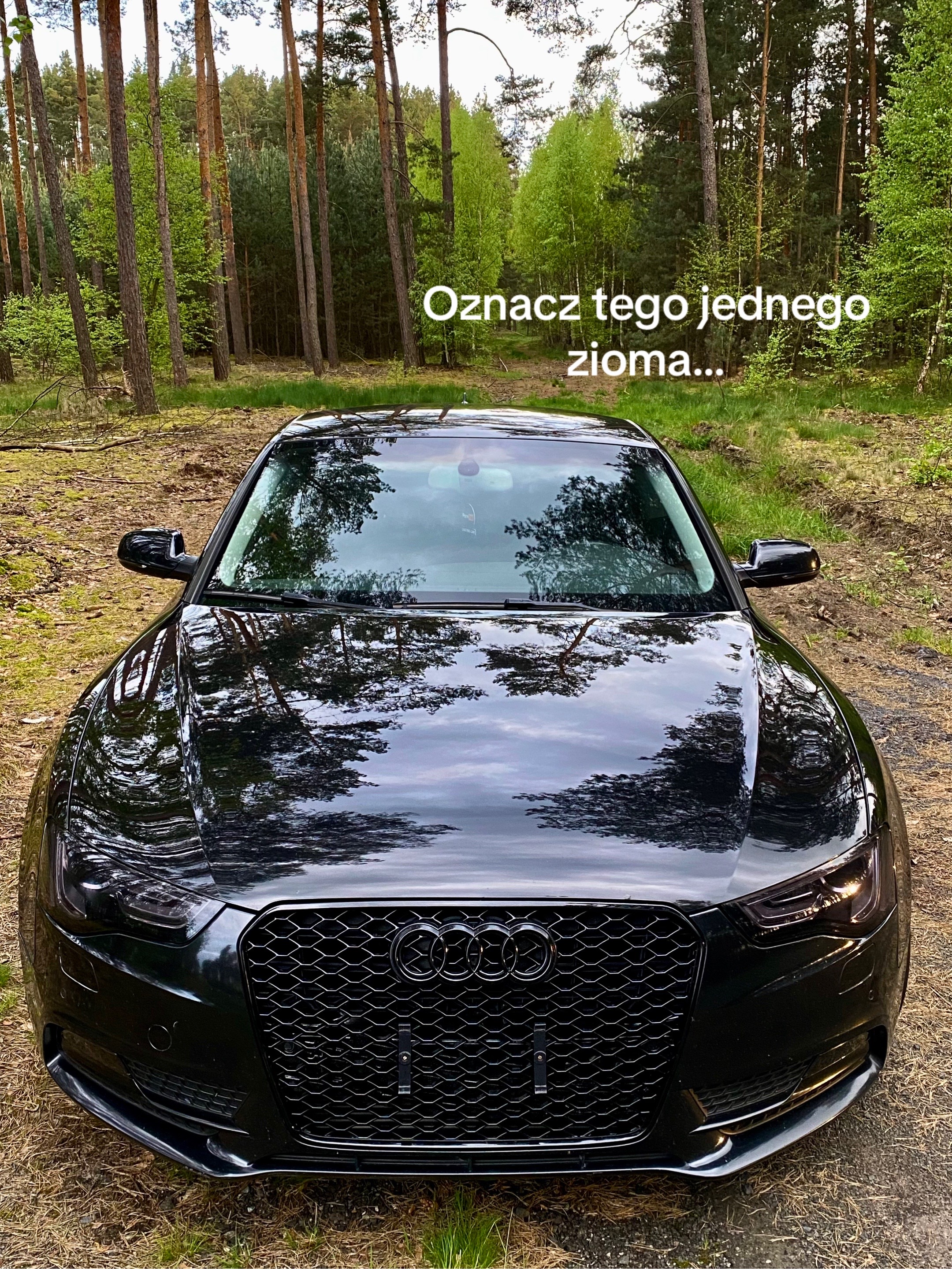 @blackcar_a5