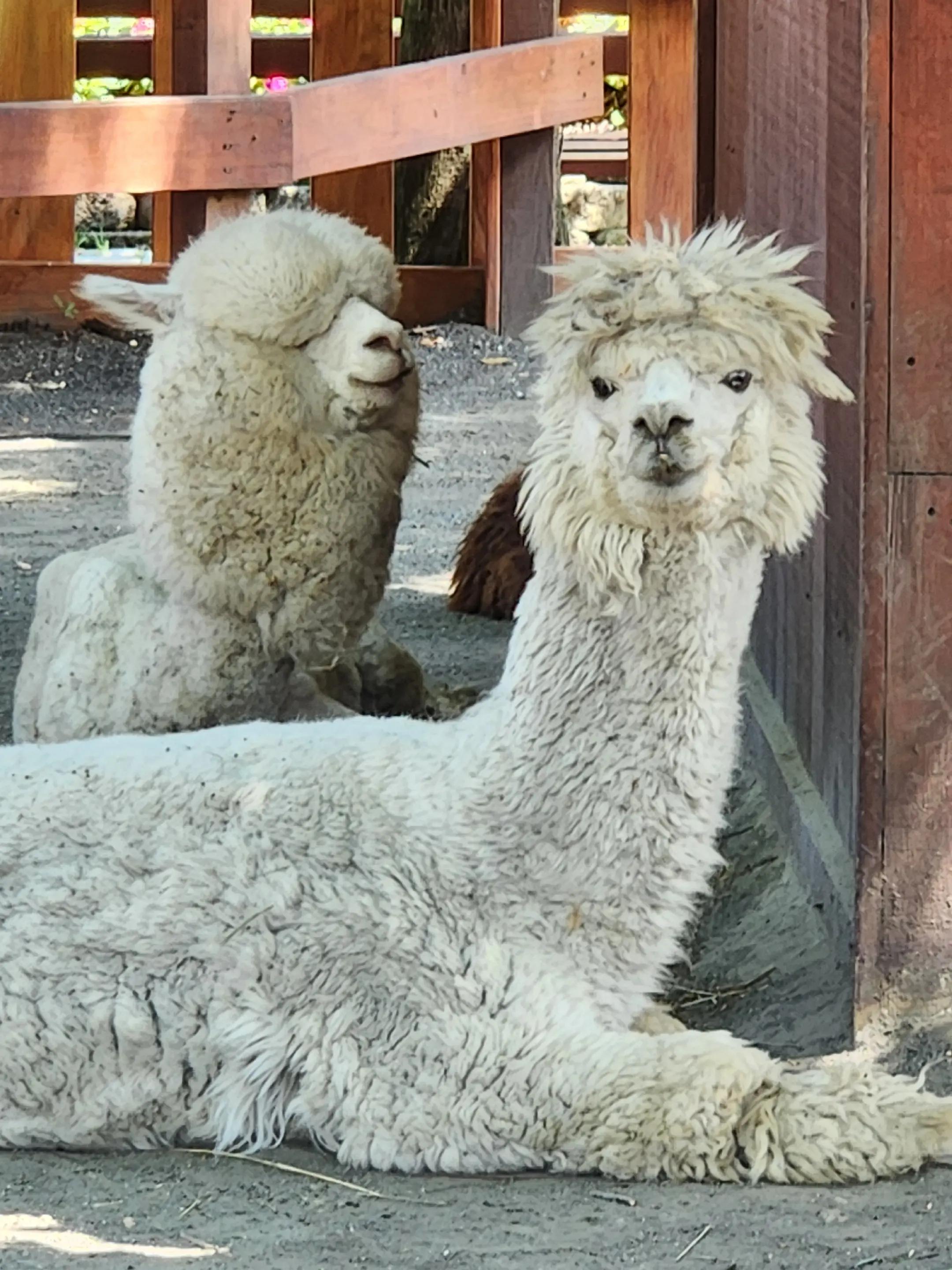 @White Post Farms