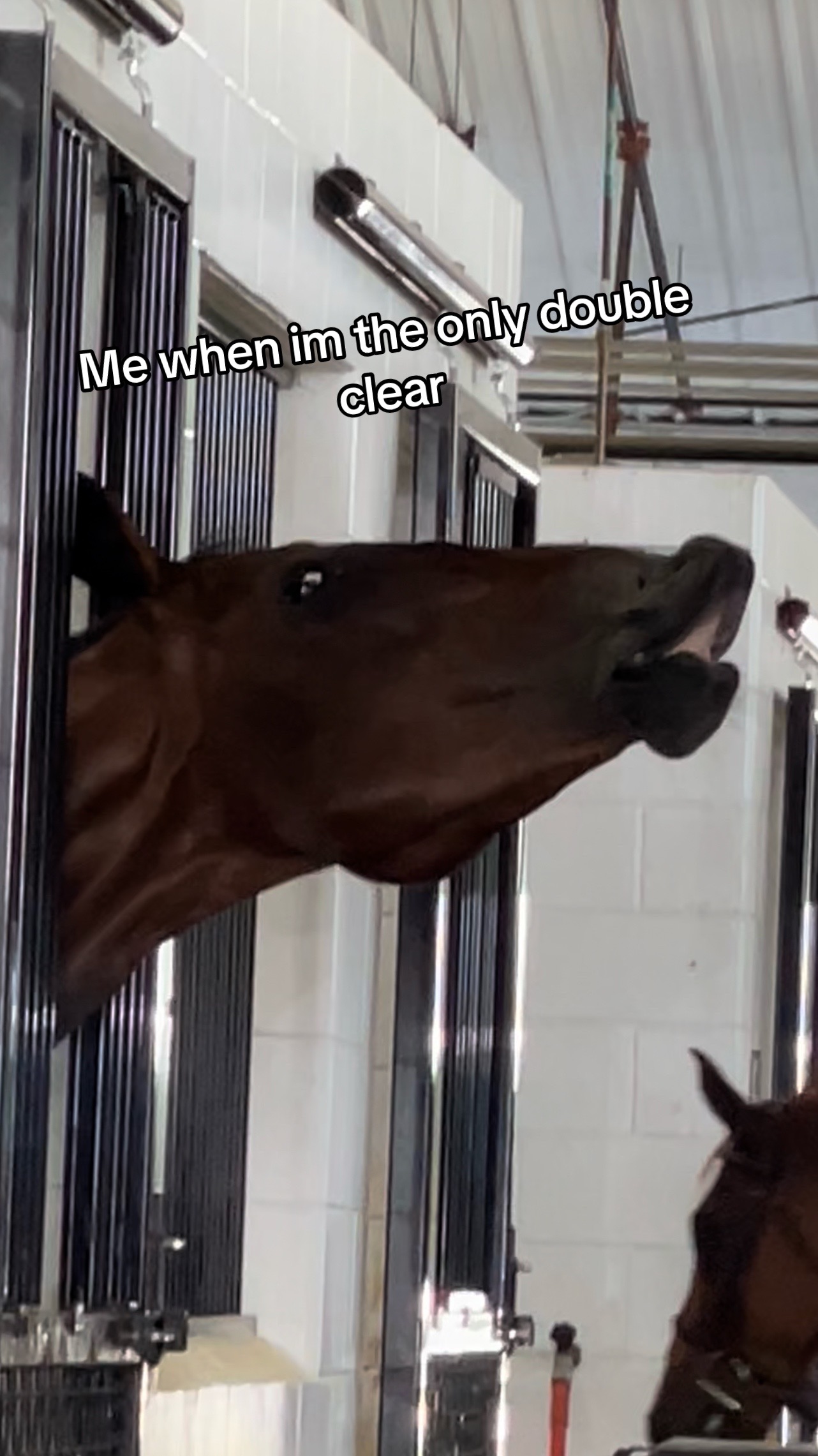 @Dakota Sheikh