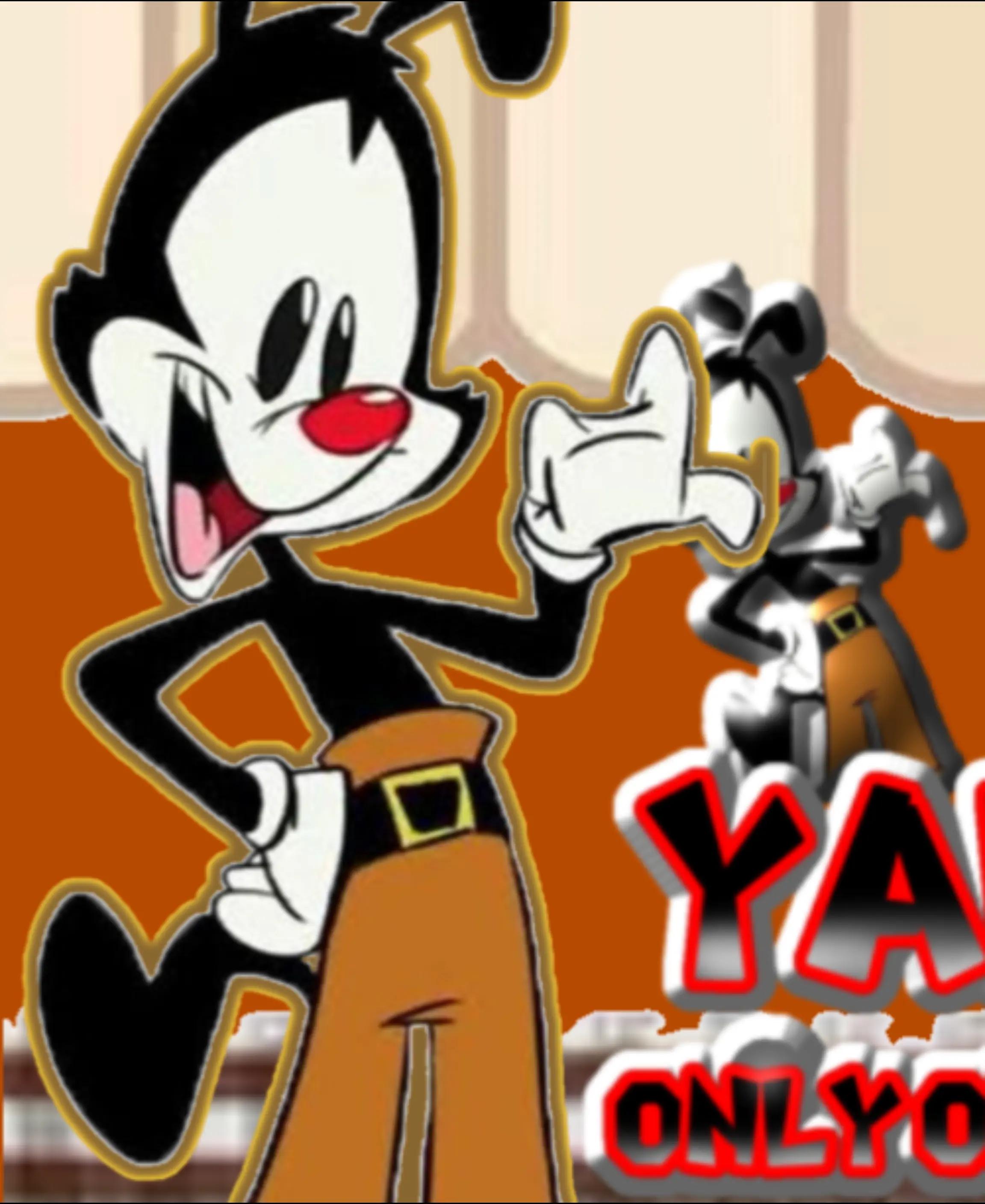 @yakko warner