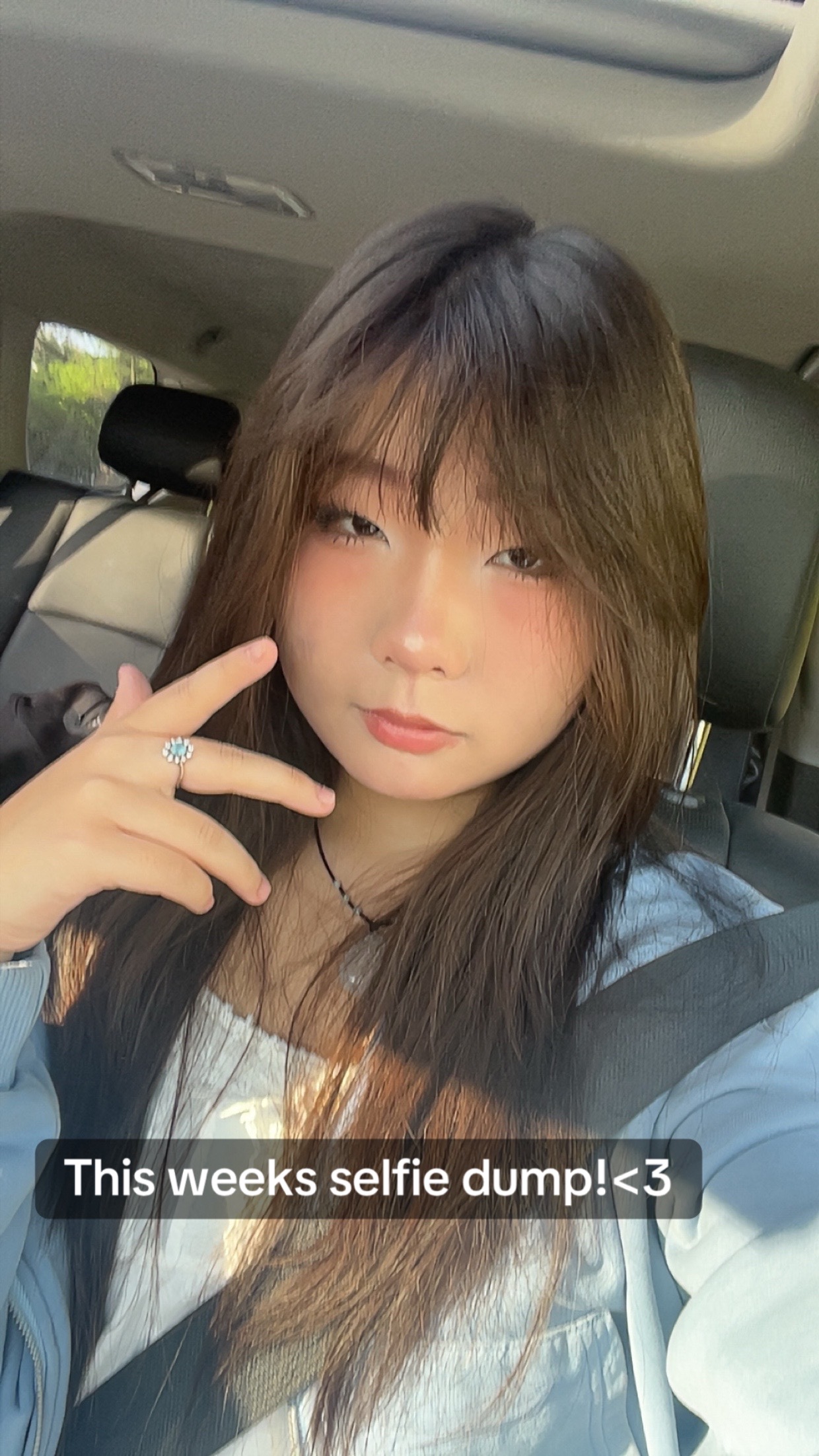 @⋆⑅˚₊ ʚ꩜ɞ Taffi ʚ꩜ɞ ⋆⑅˚₊
