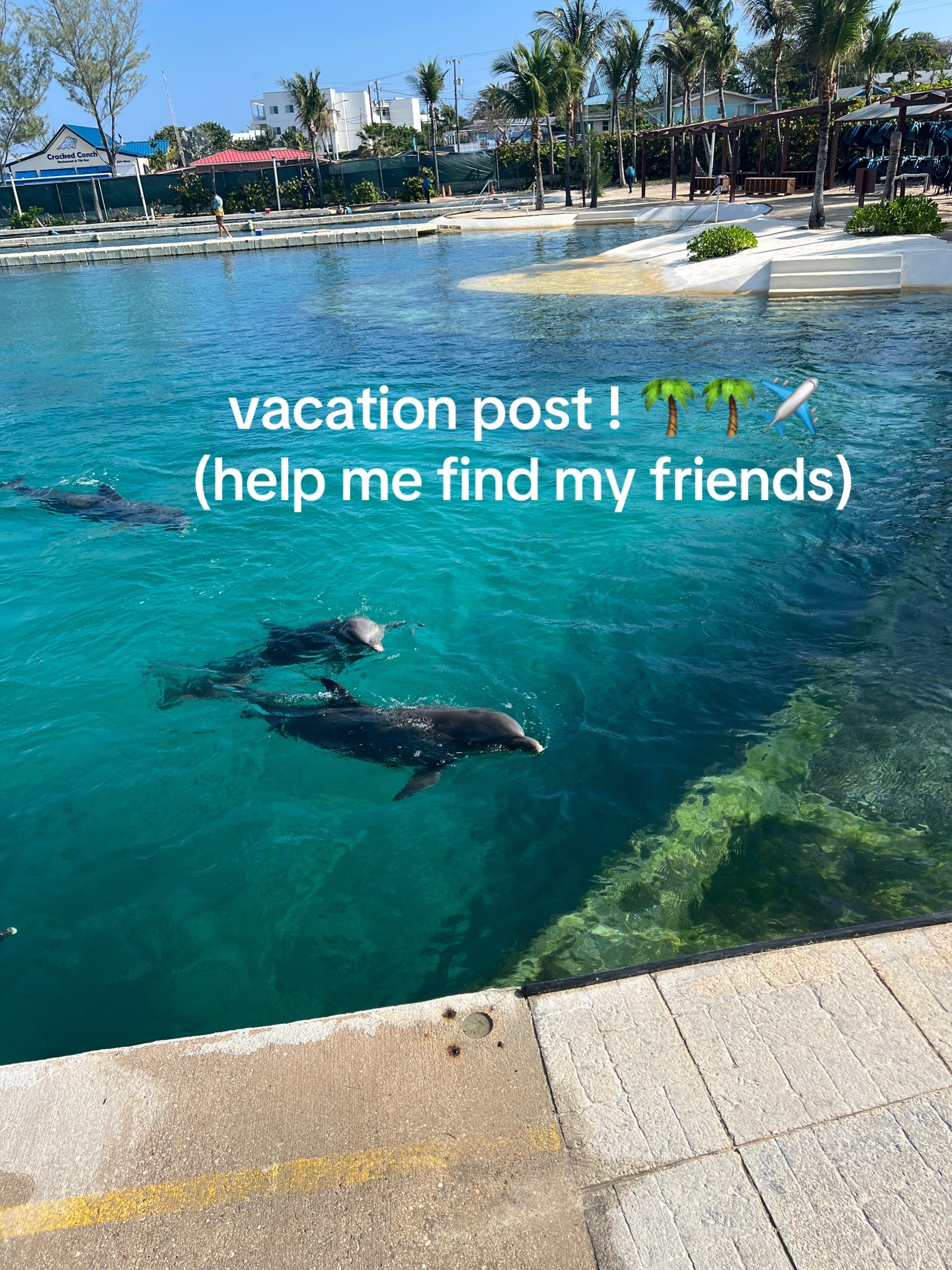 @binary.bumper_