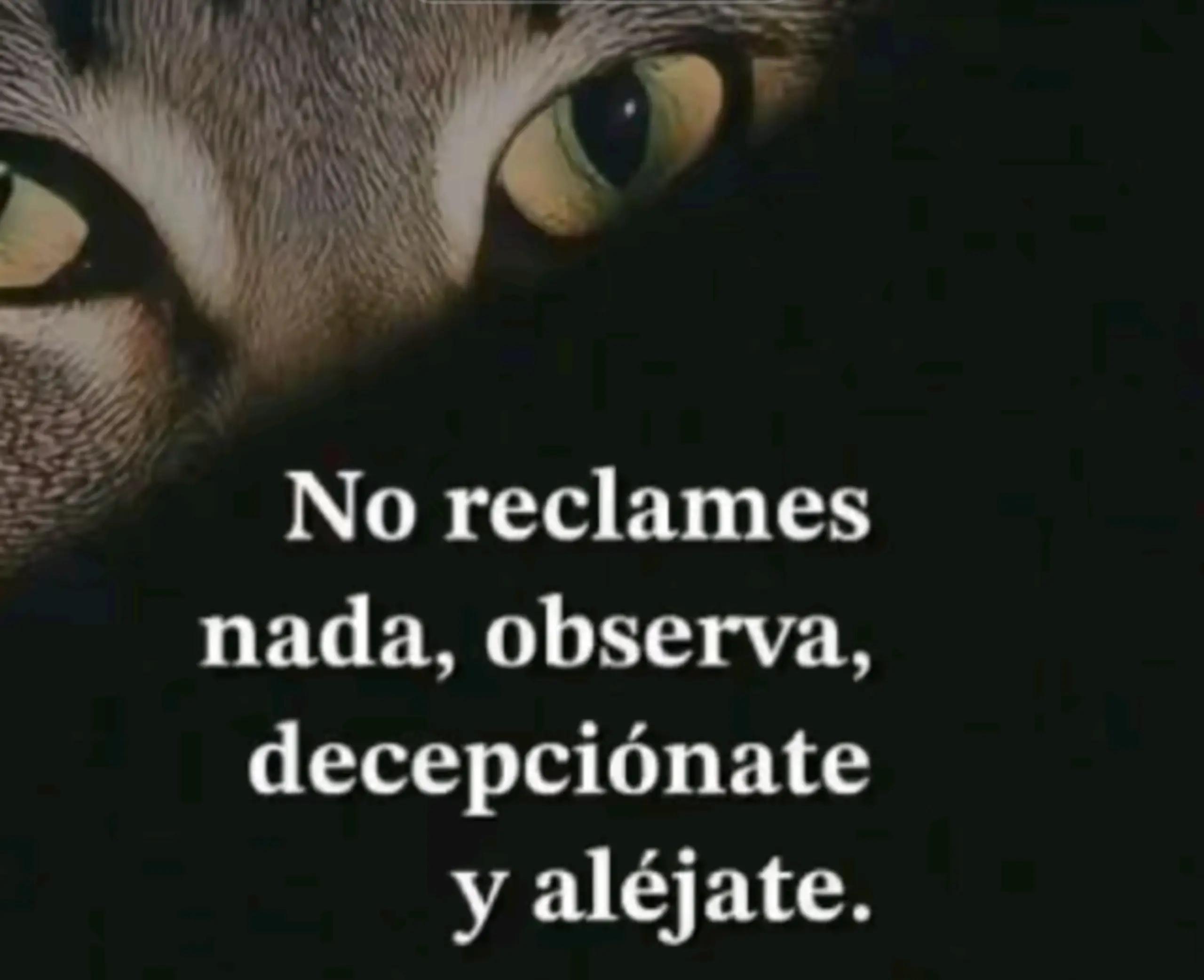 @DIEGOSALSA
