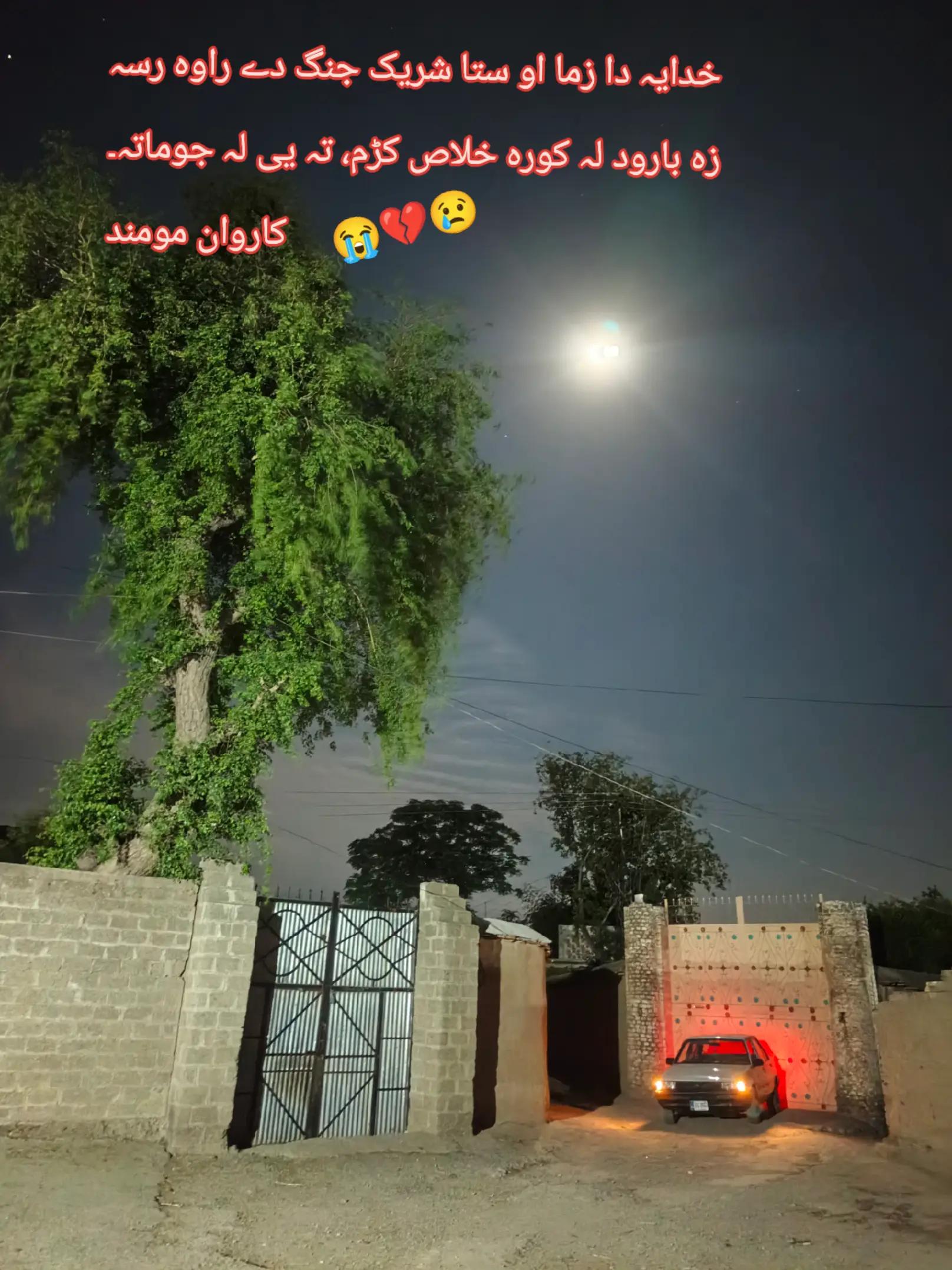 @Wasi_Mohmand