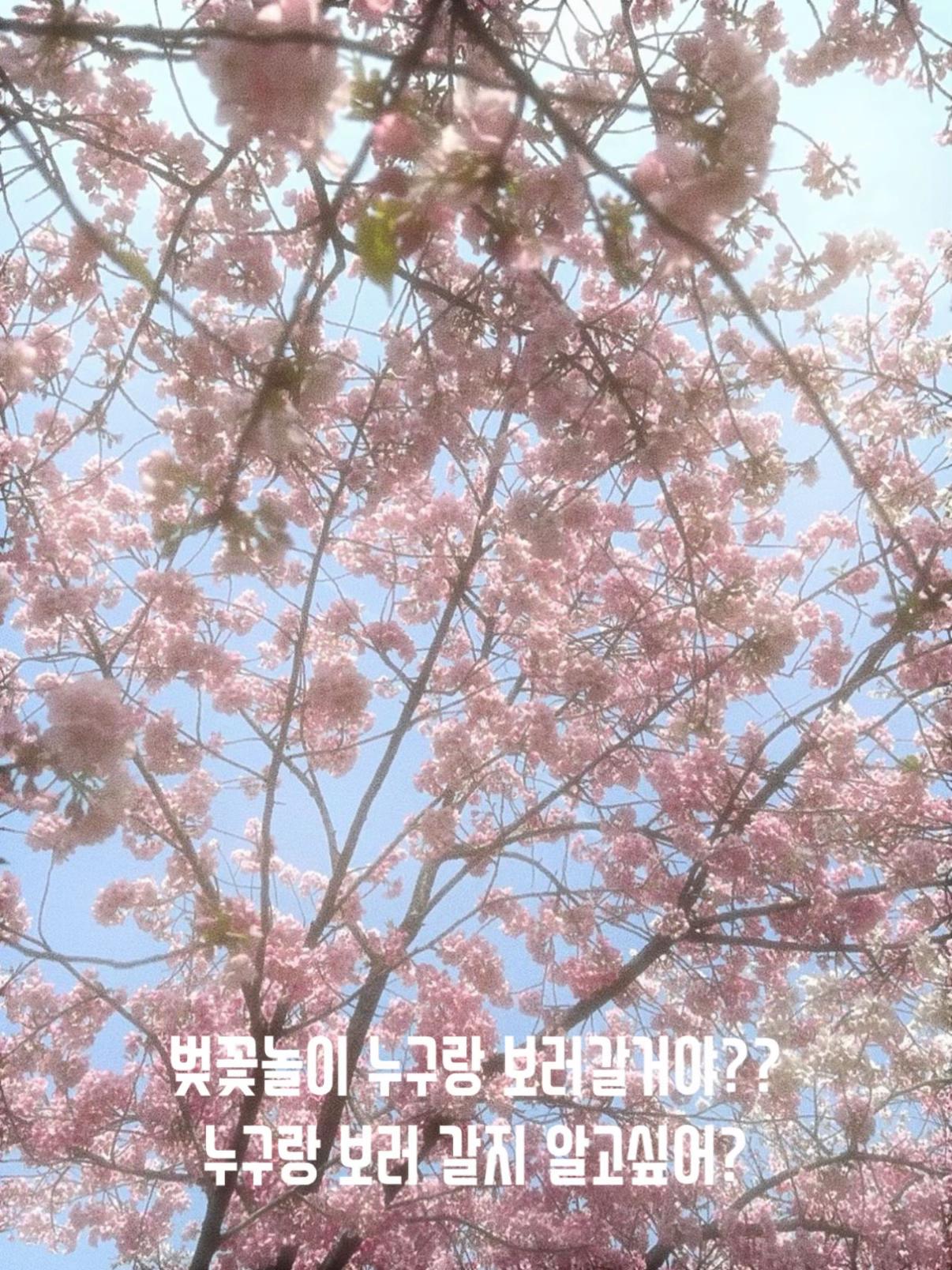 @현재