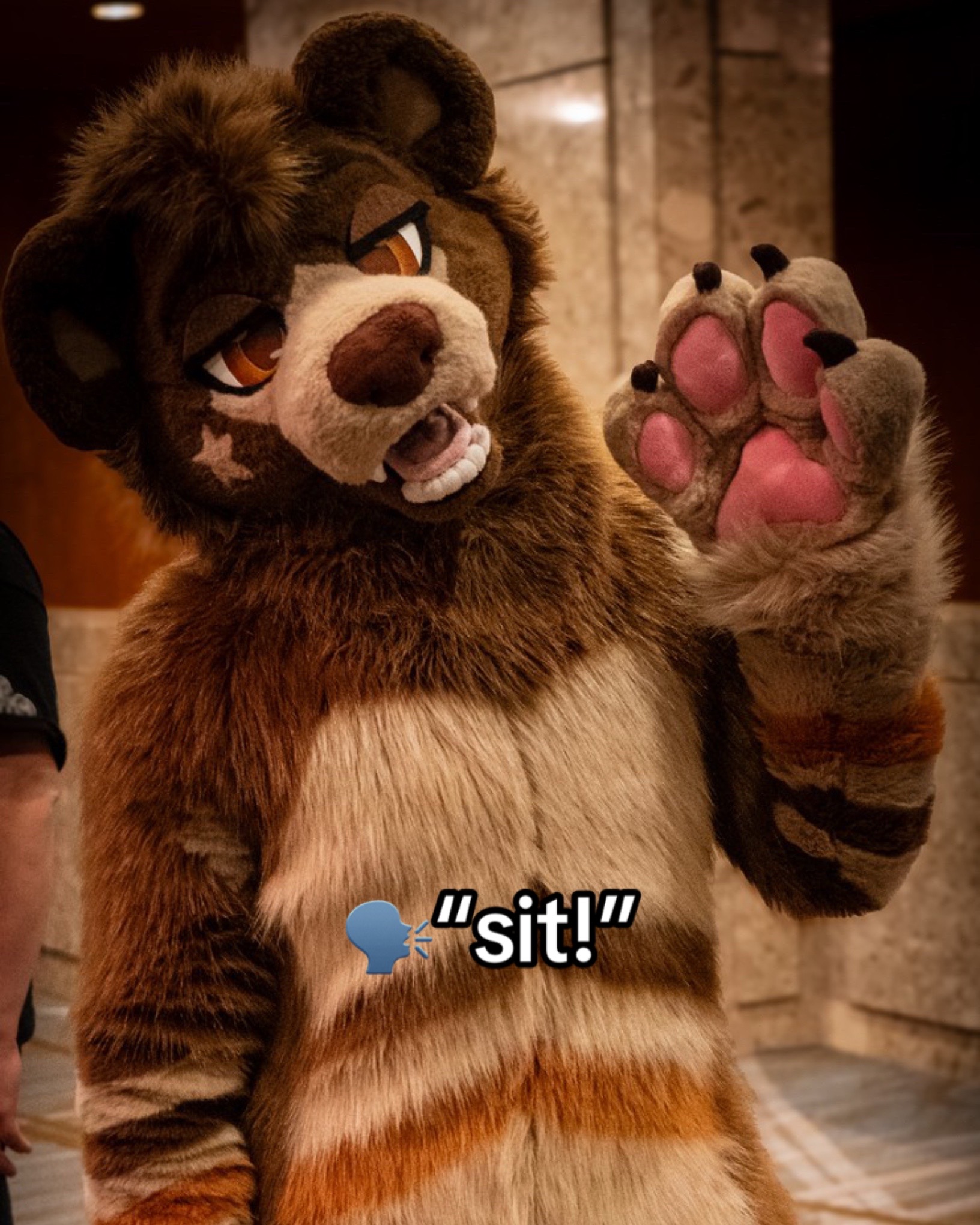 @Boof