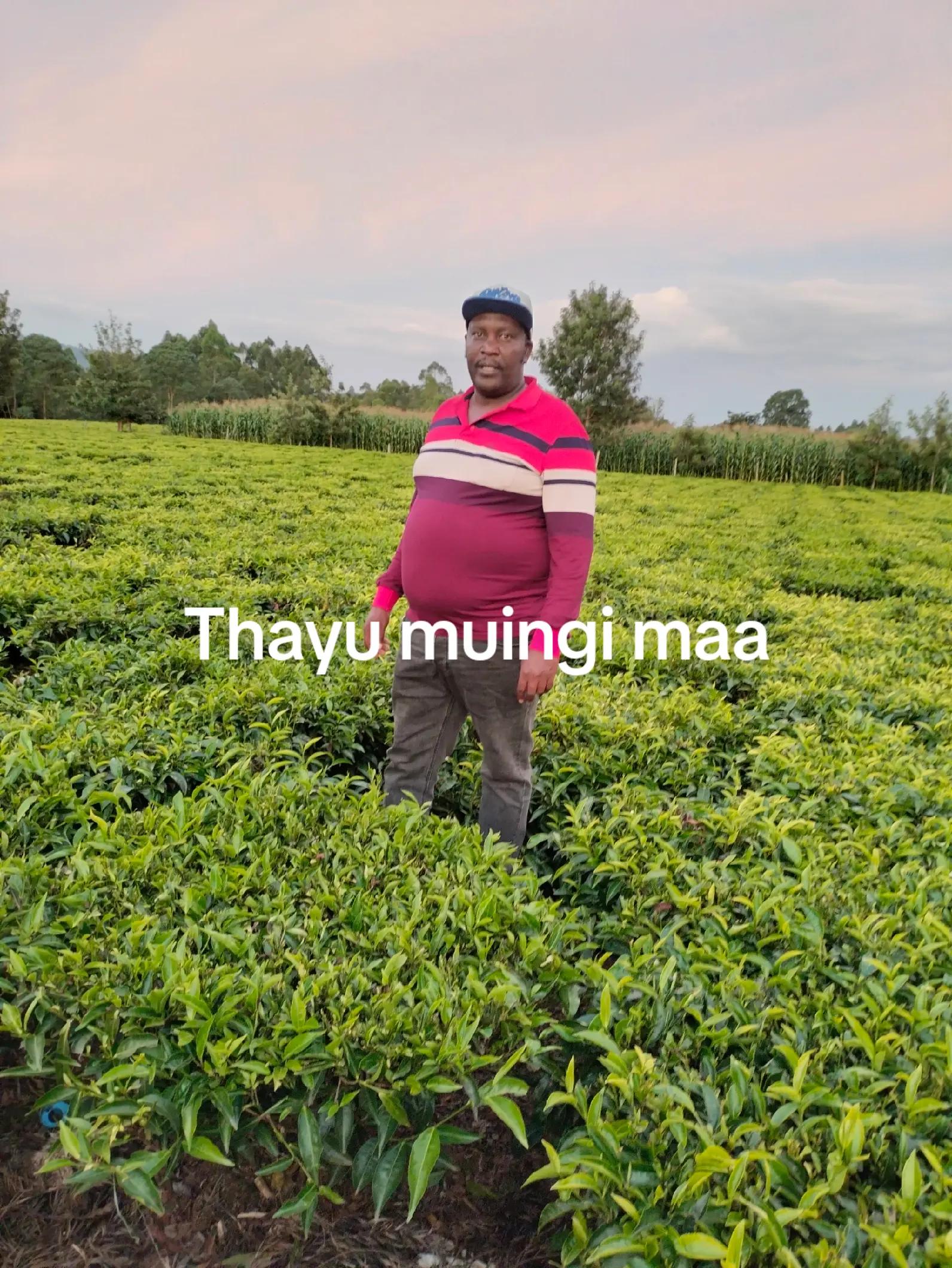 @Wawesh