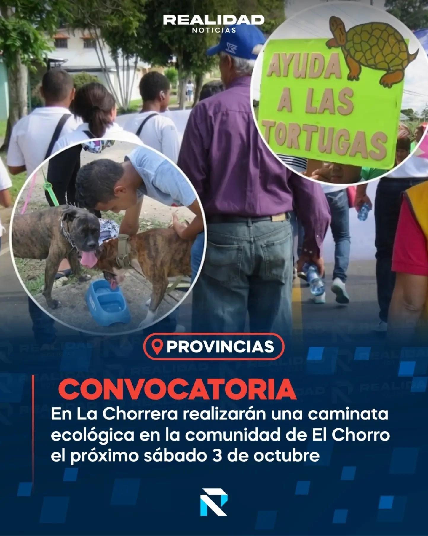 @Realidad Noticias