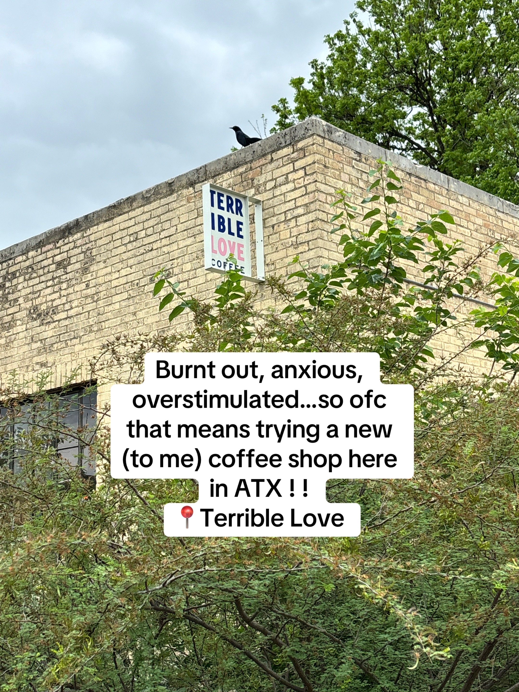 @月