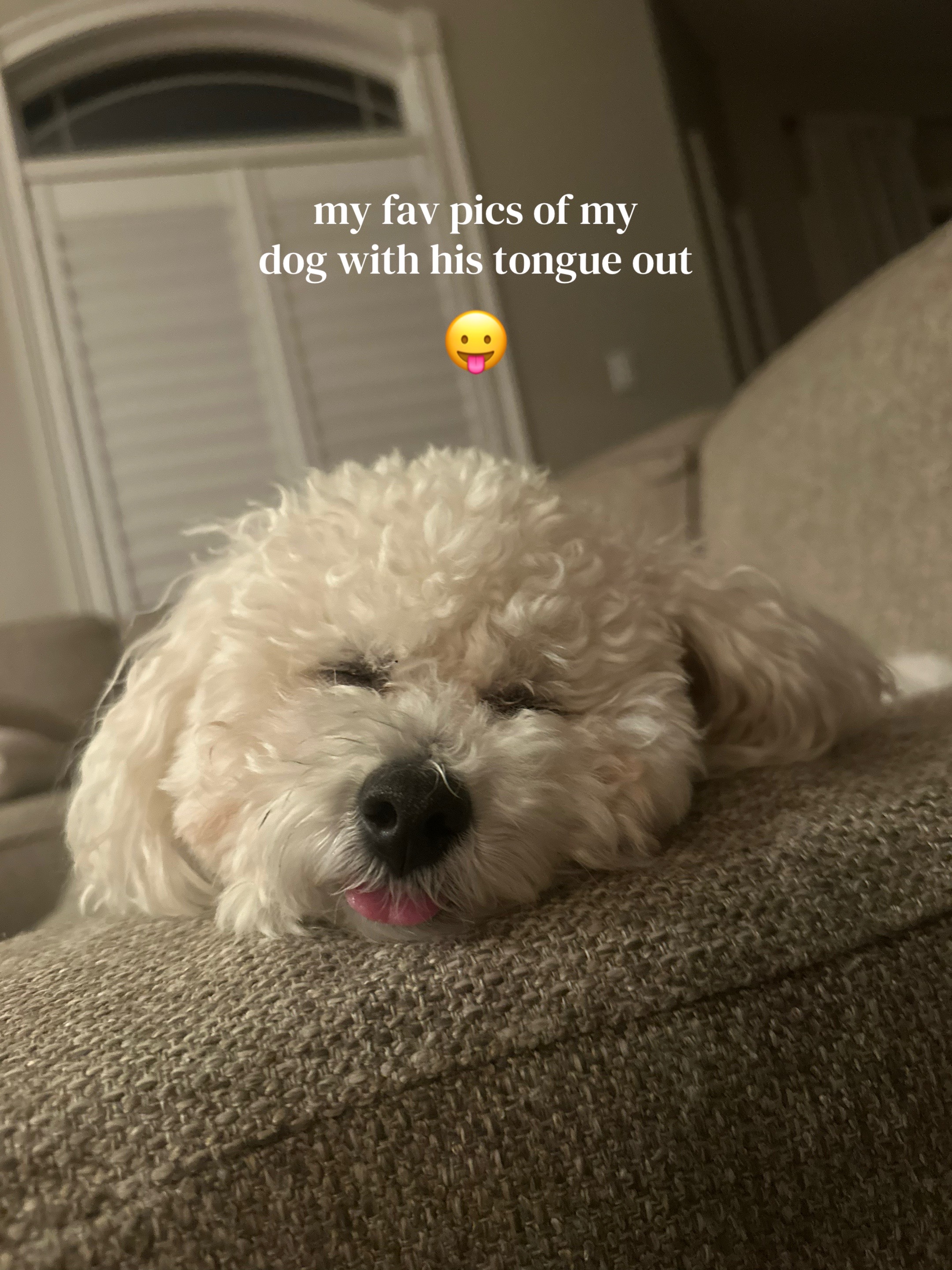 @kyliewegner