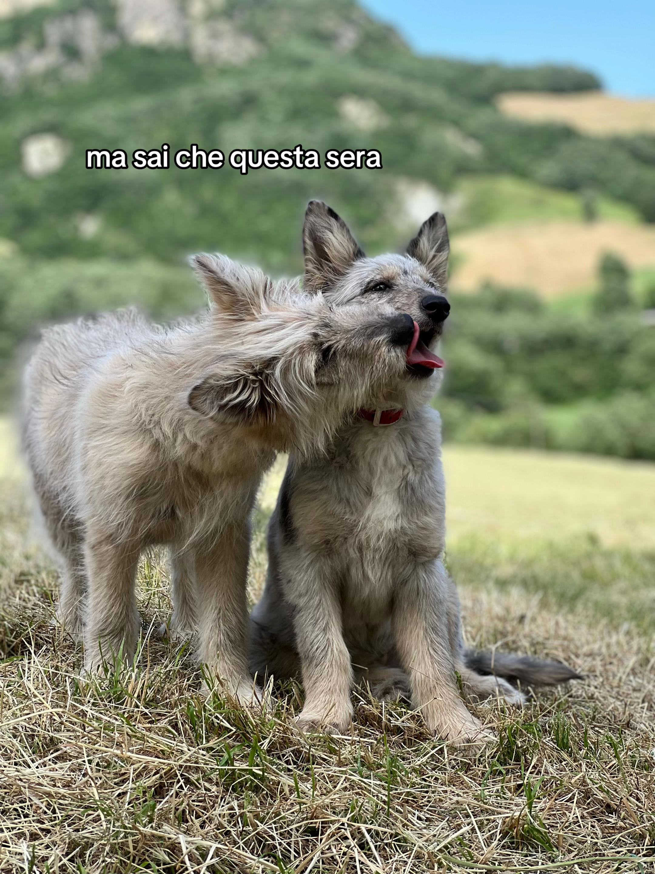 @Francesco Marastoni