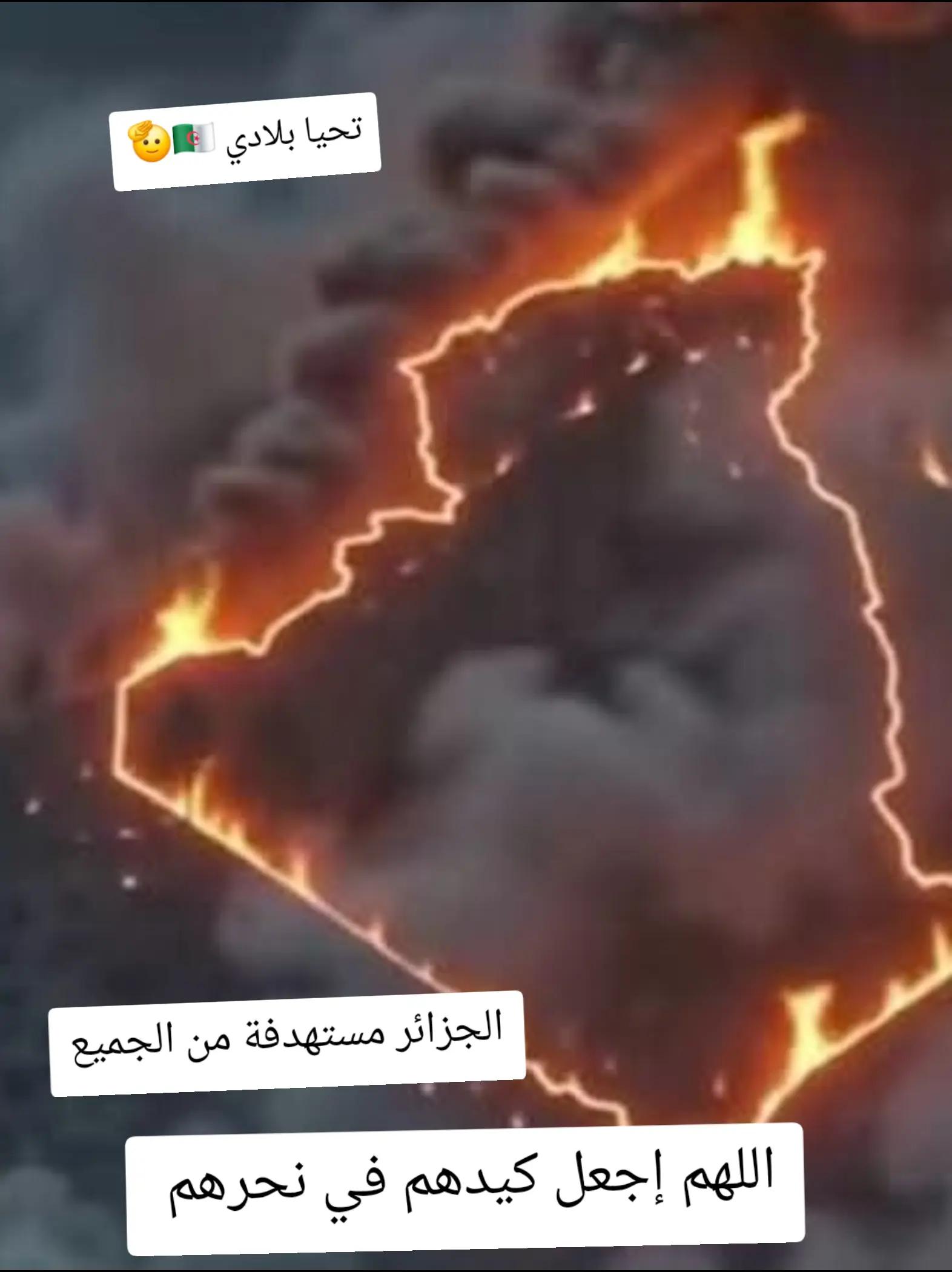 @زروالي _ سعيد 🇩🇿