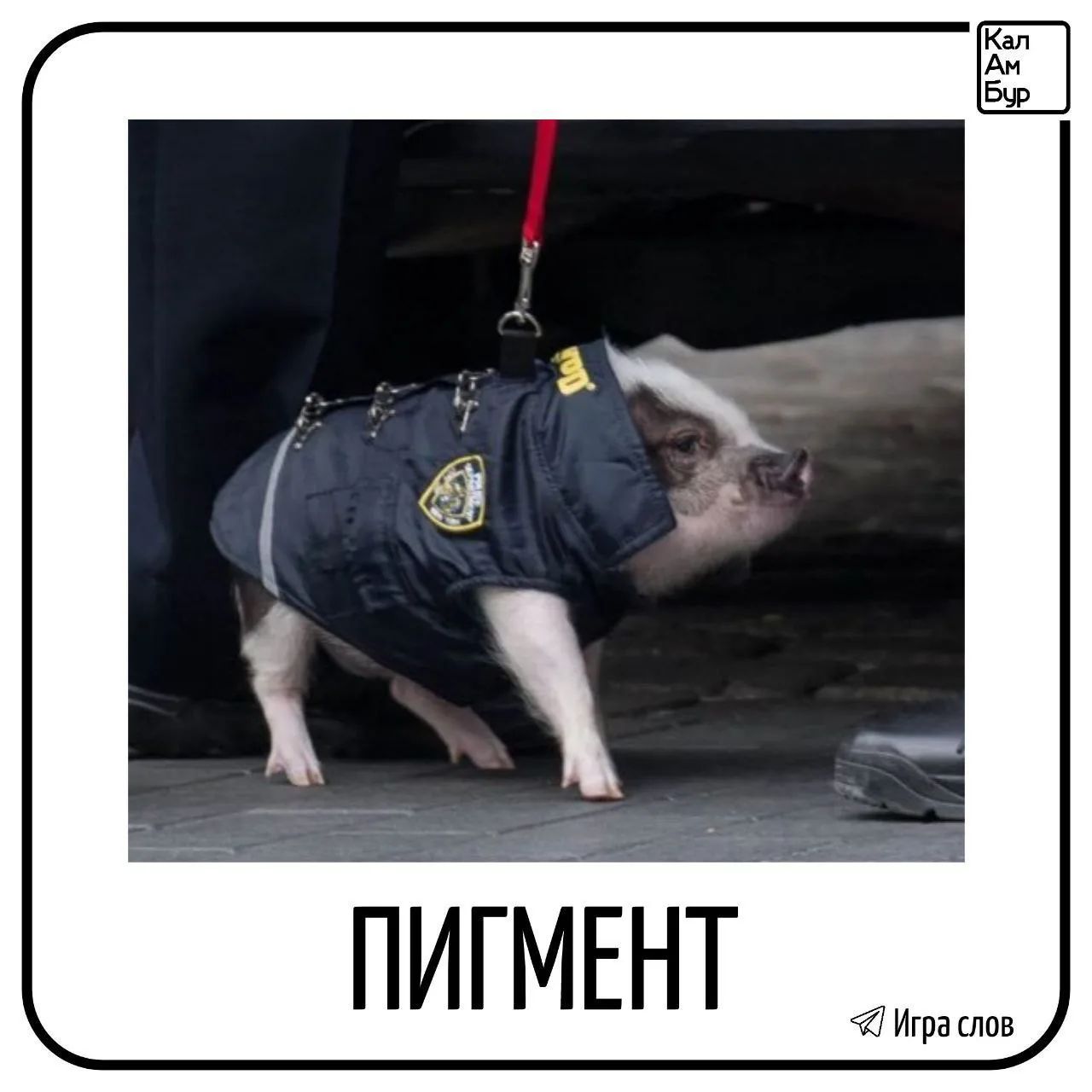 @Яангел Атынет