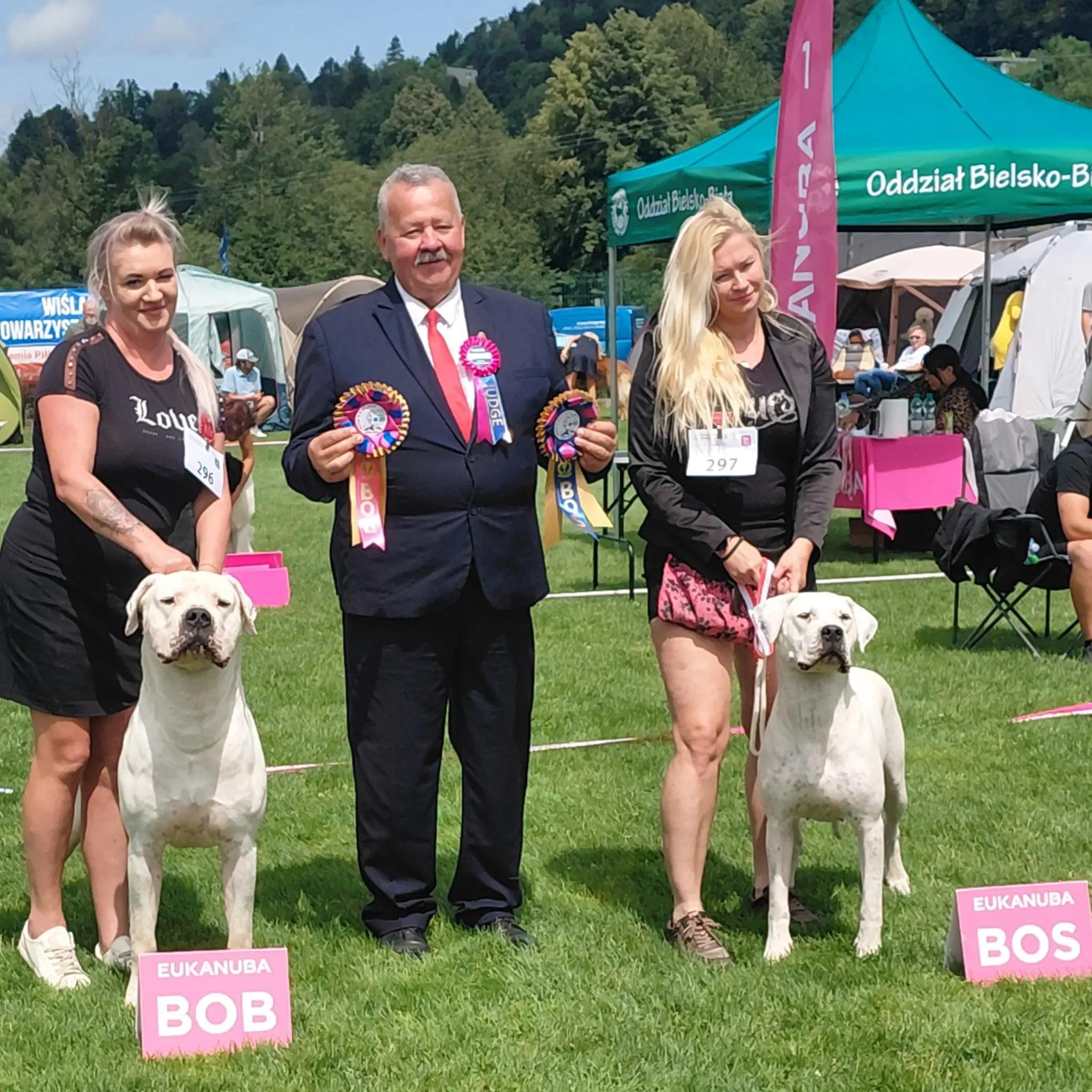 @Viola Trojan Dogo Argentino