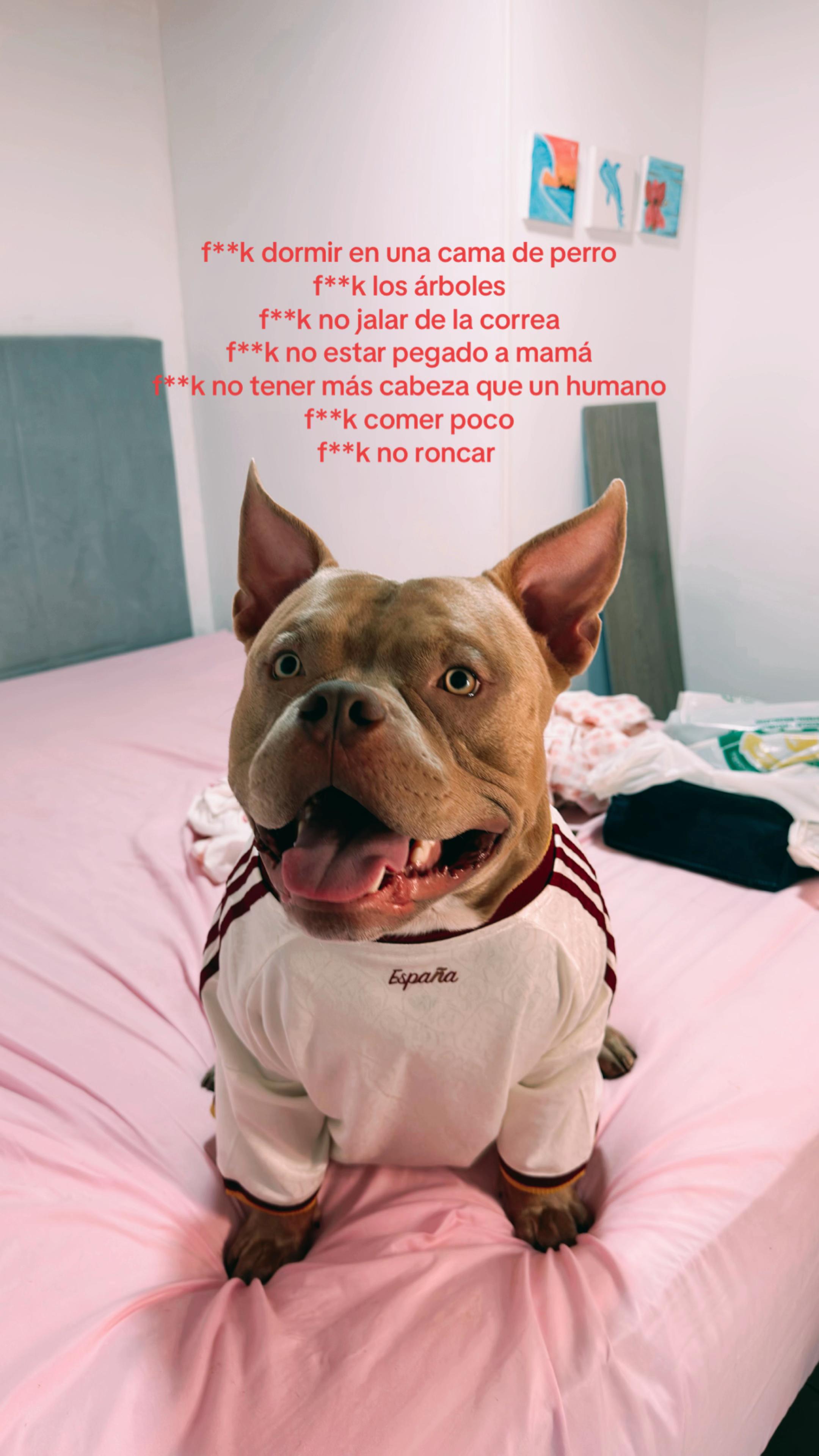 @travieso