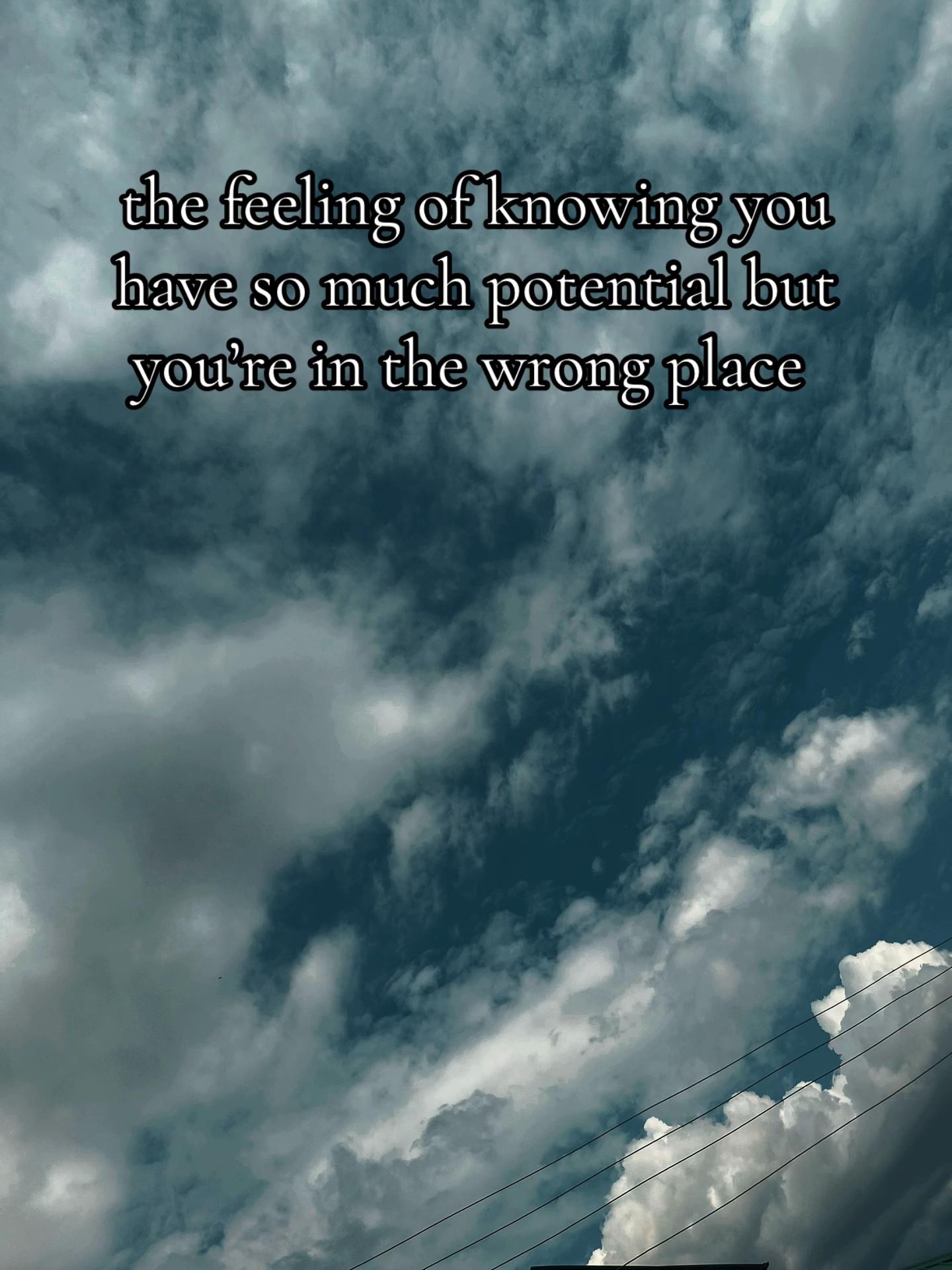 @TREVOR🕸️