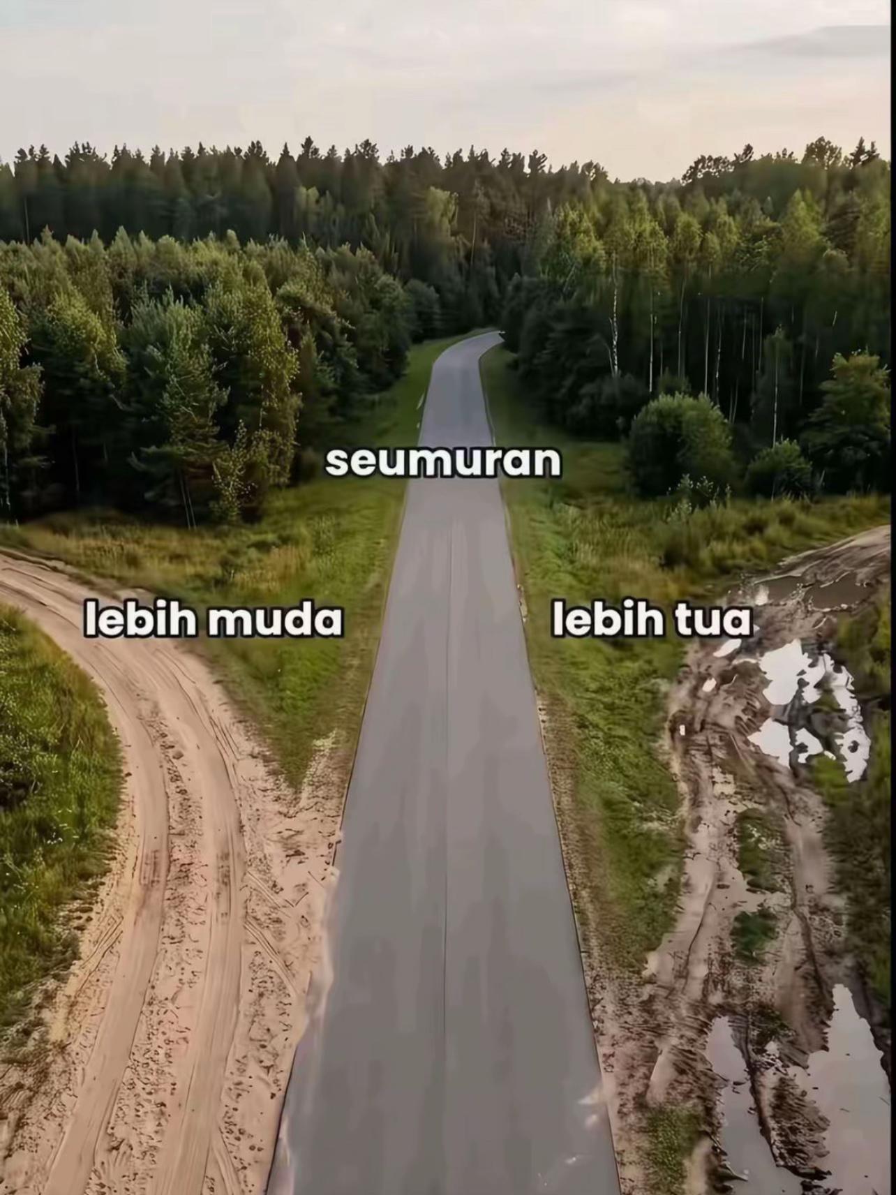 @﮼محمد ﮼بلال