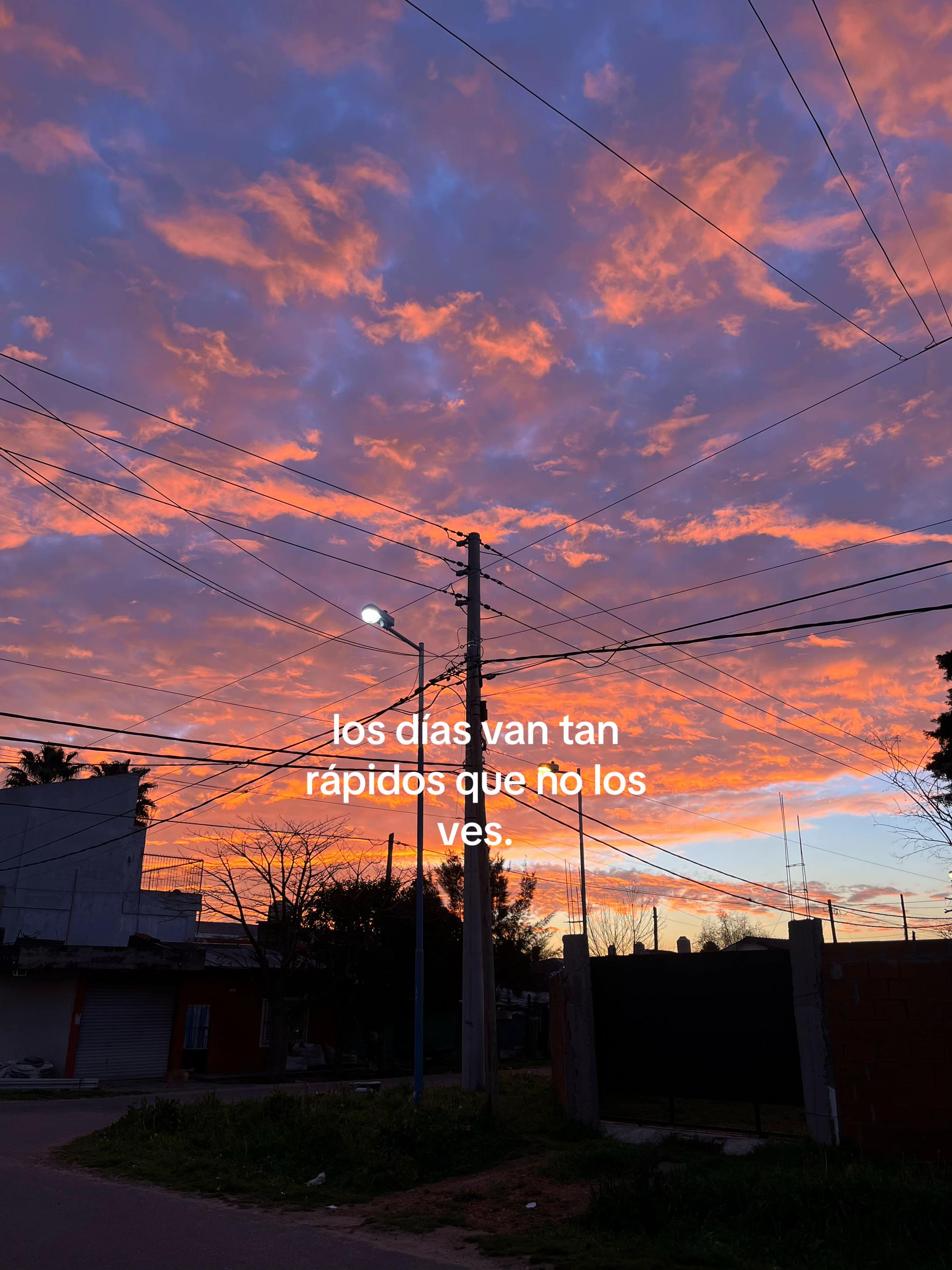@priocampo01