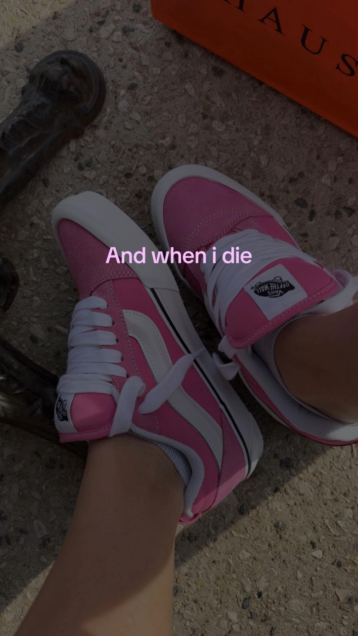 @m᥆ᥒᥲ🪼