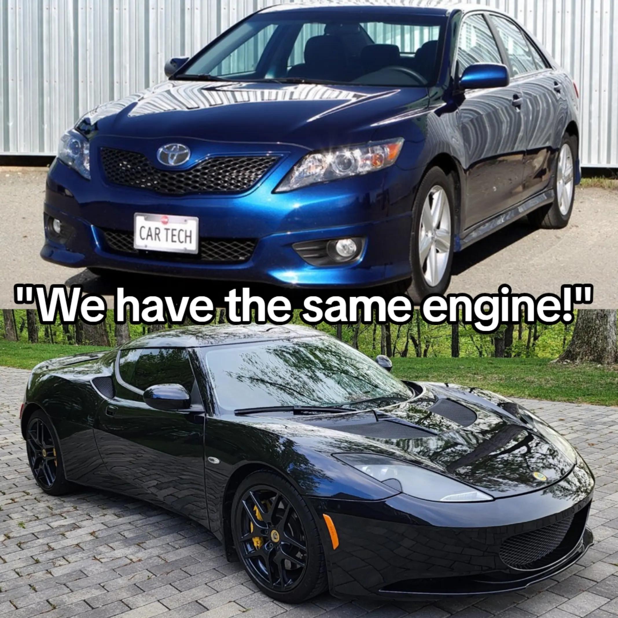@Dragonsinges