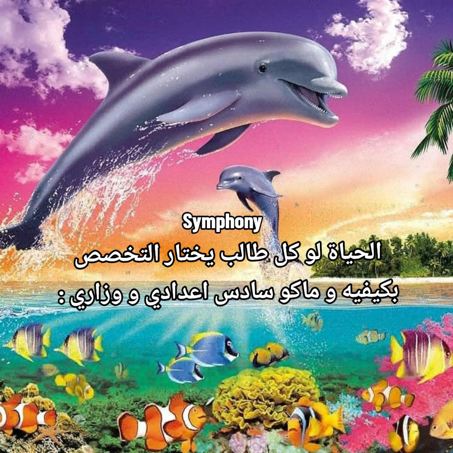 @مسودن تسودن