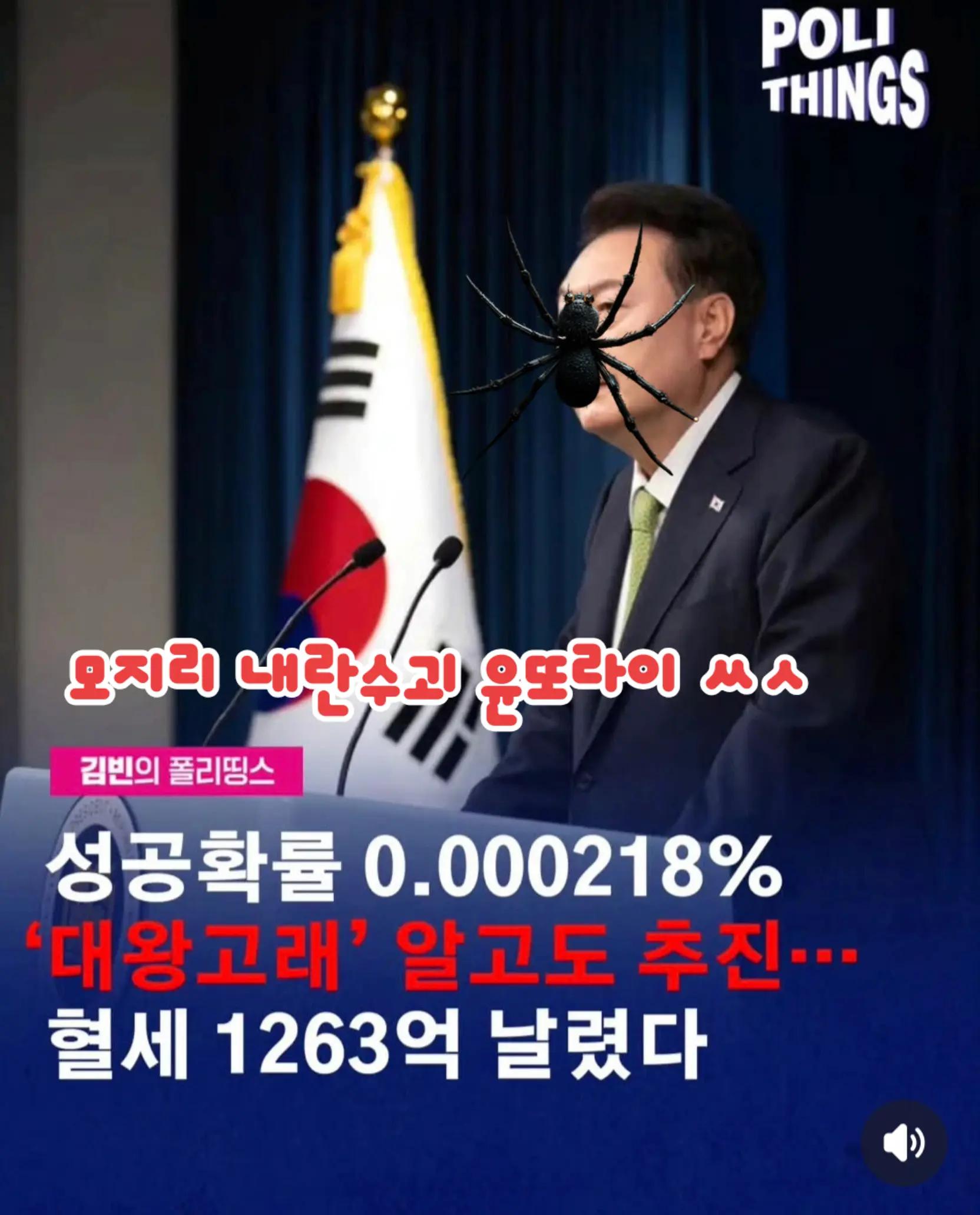 @🌺시라소니[본]🌺